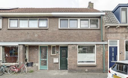 Tulpstraat 17