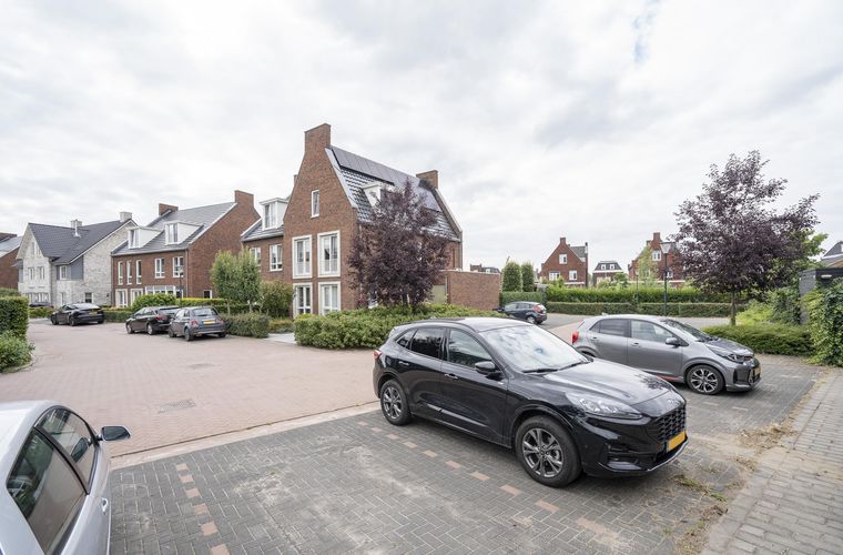 Afbeelding 41