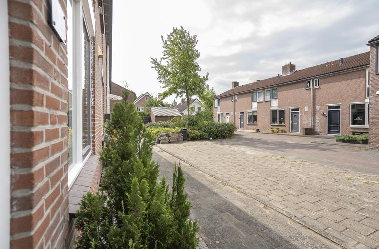 Afbeelding 31