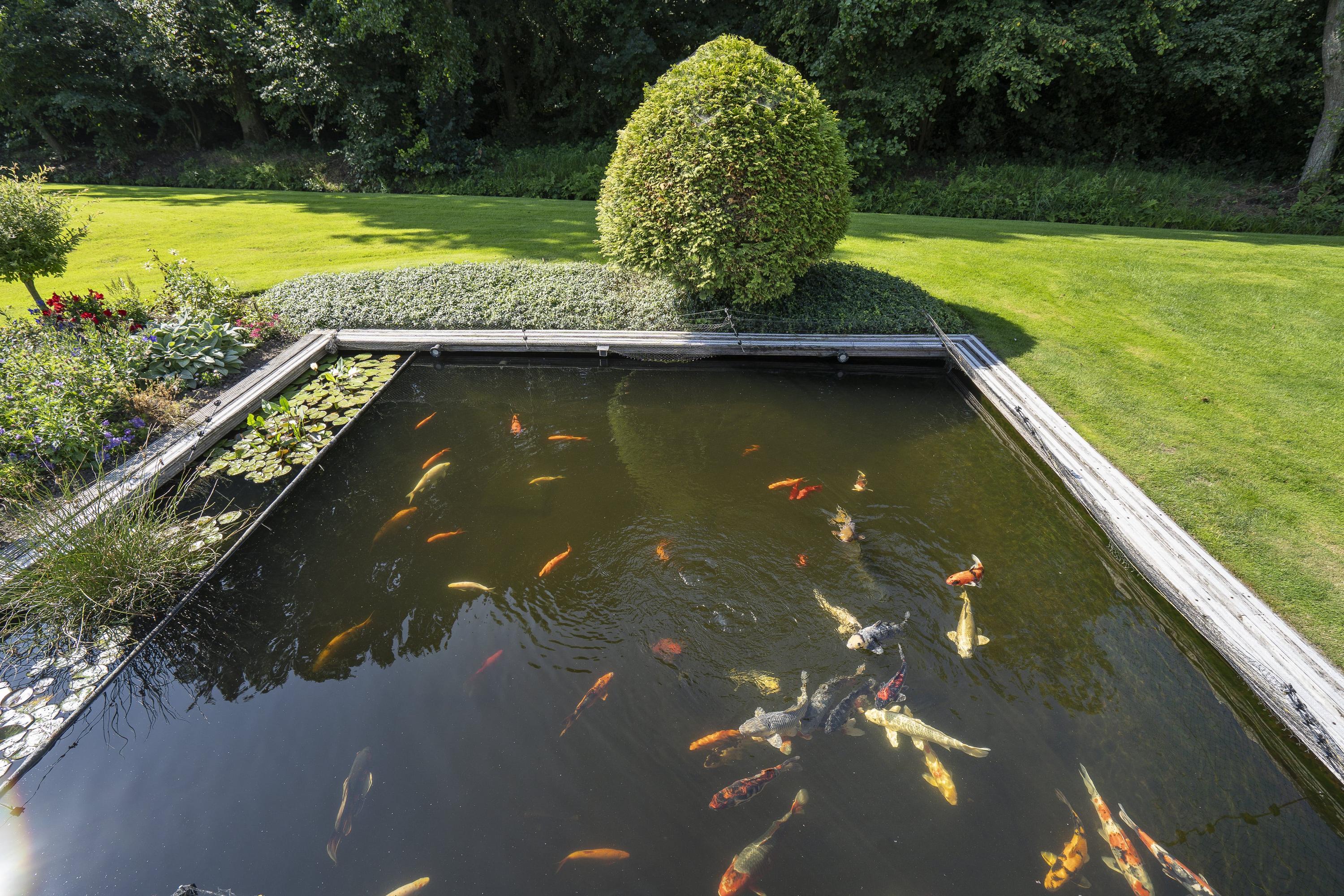 Zuiderlingedijk 245a, afbeelding 45