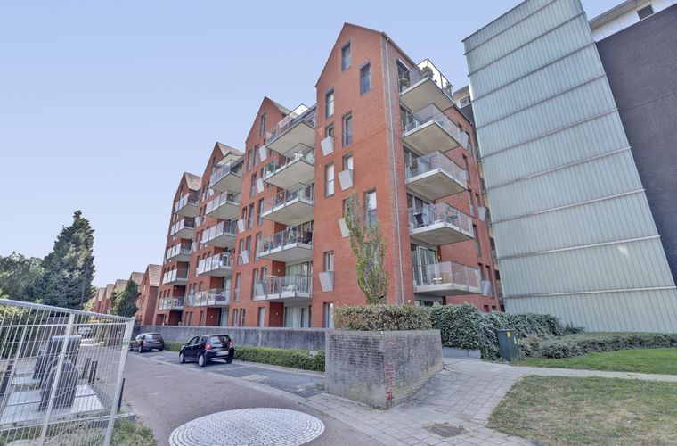 Afbeelding 31