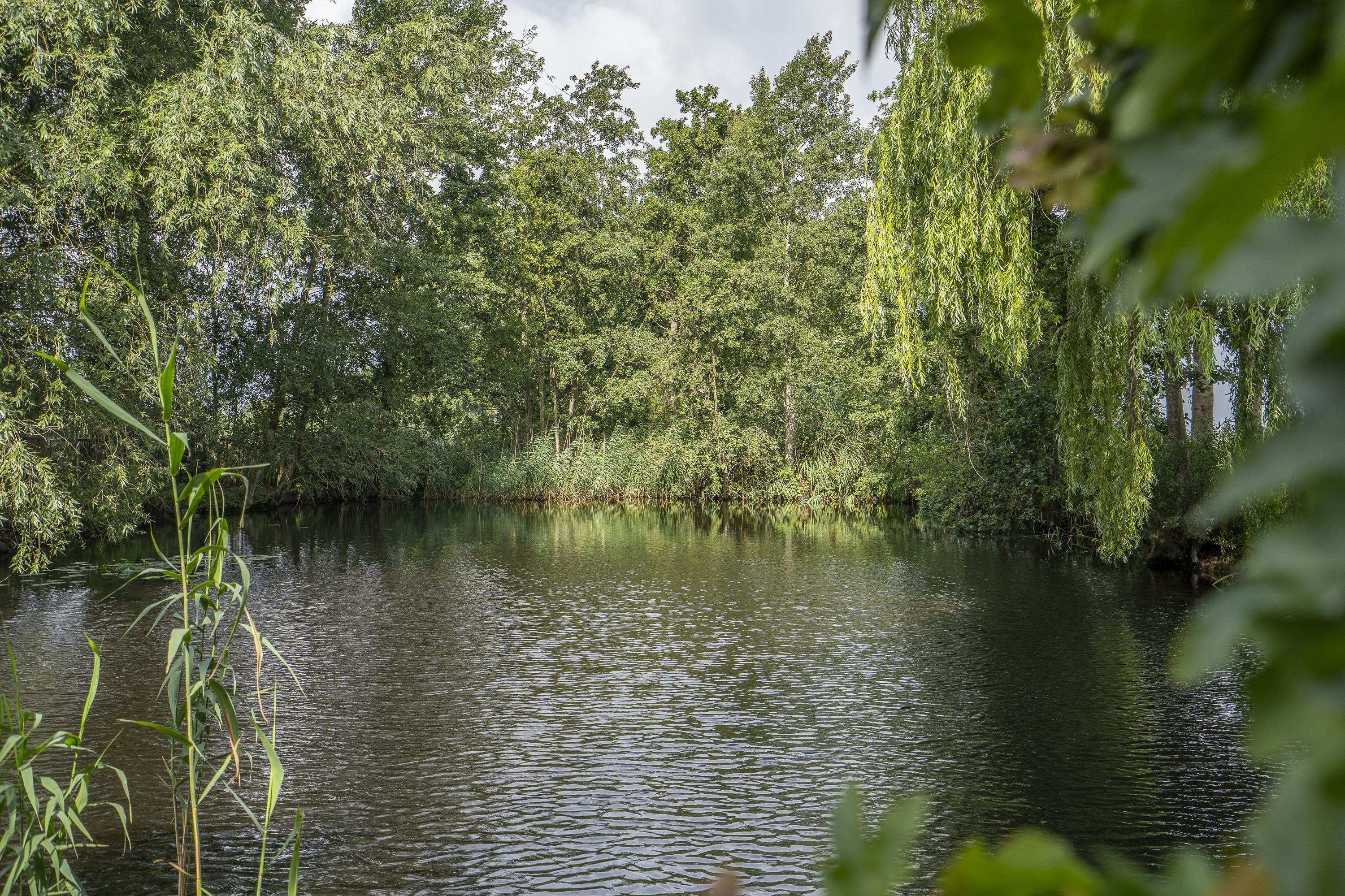 Achterdijk 1, afbeelding 72