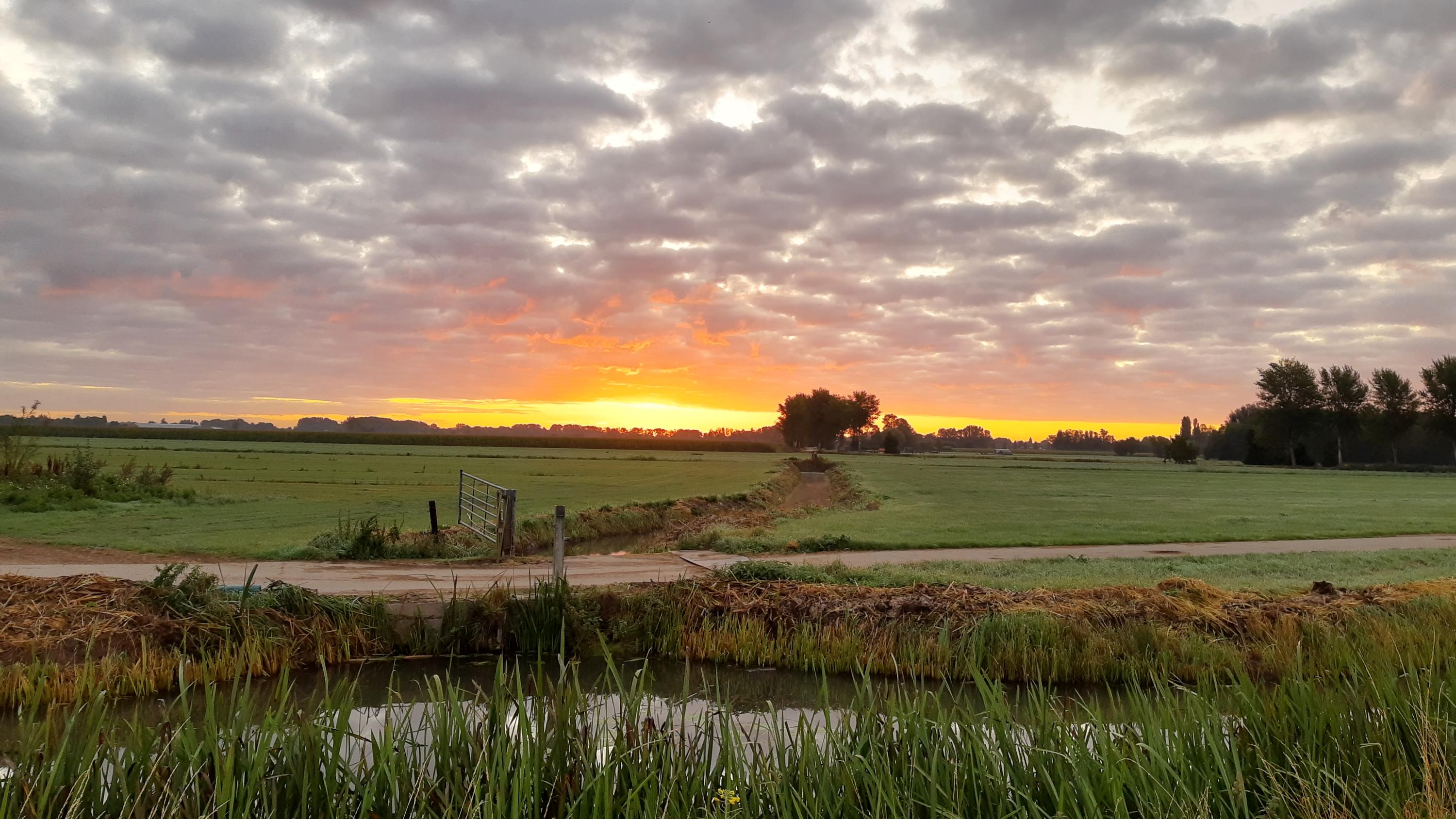 Achterdijk 1, afbeelding 75
