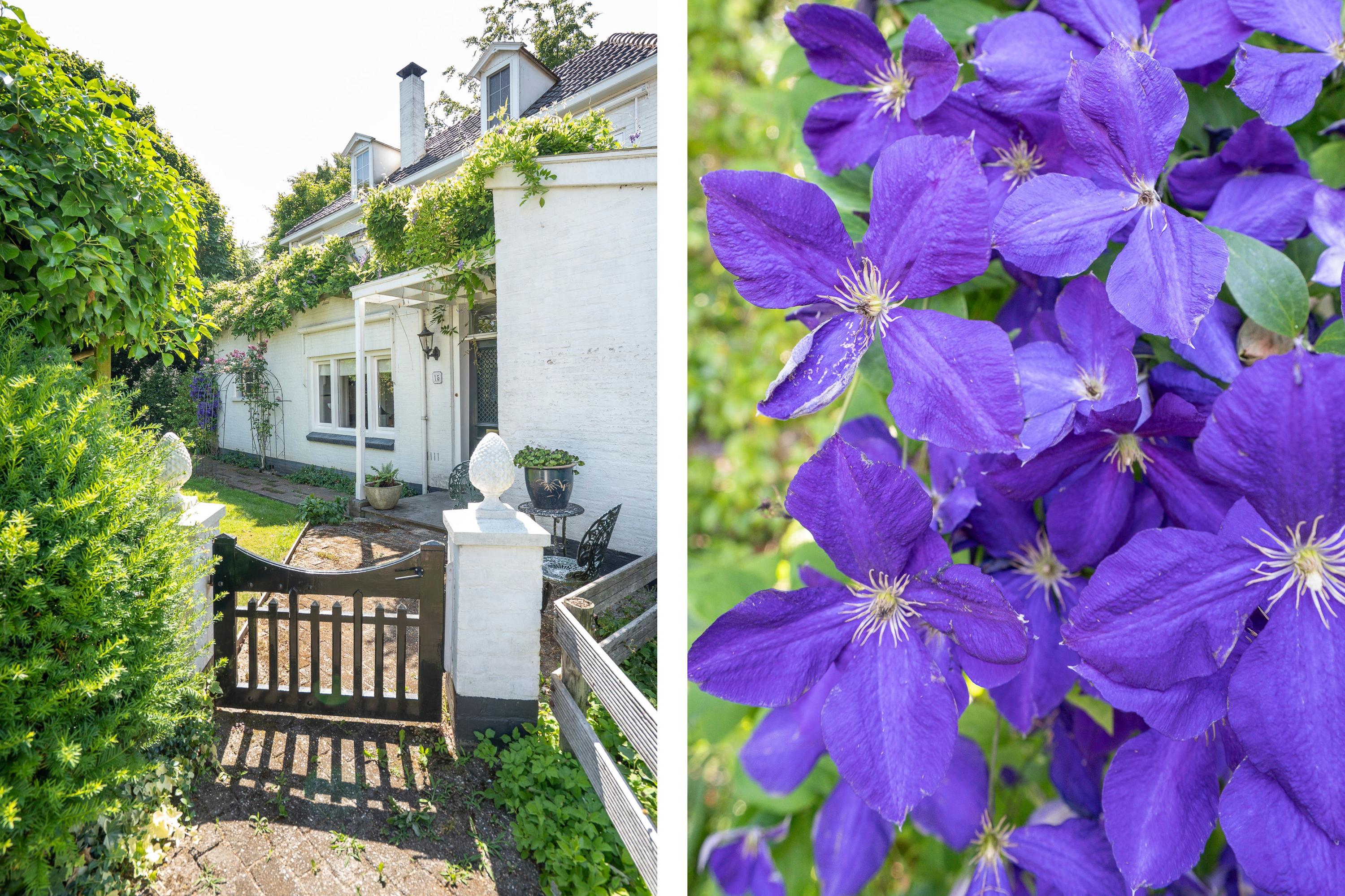 Horndijk 15, afbeelding 4