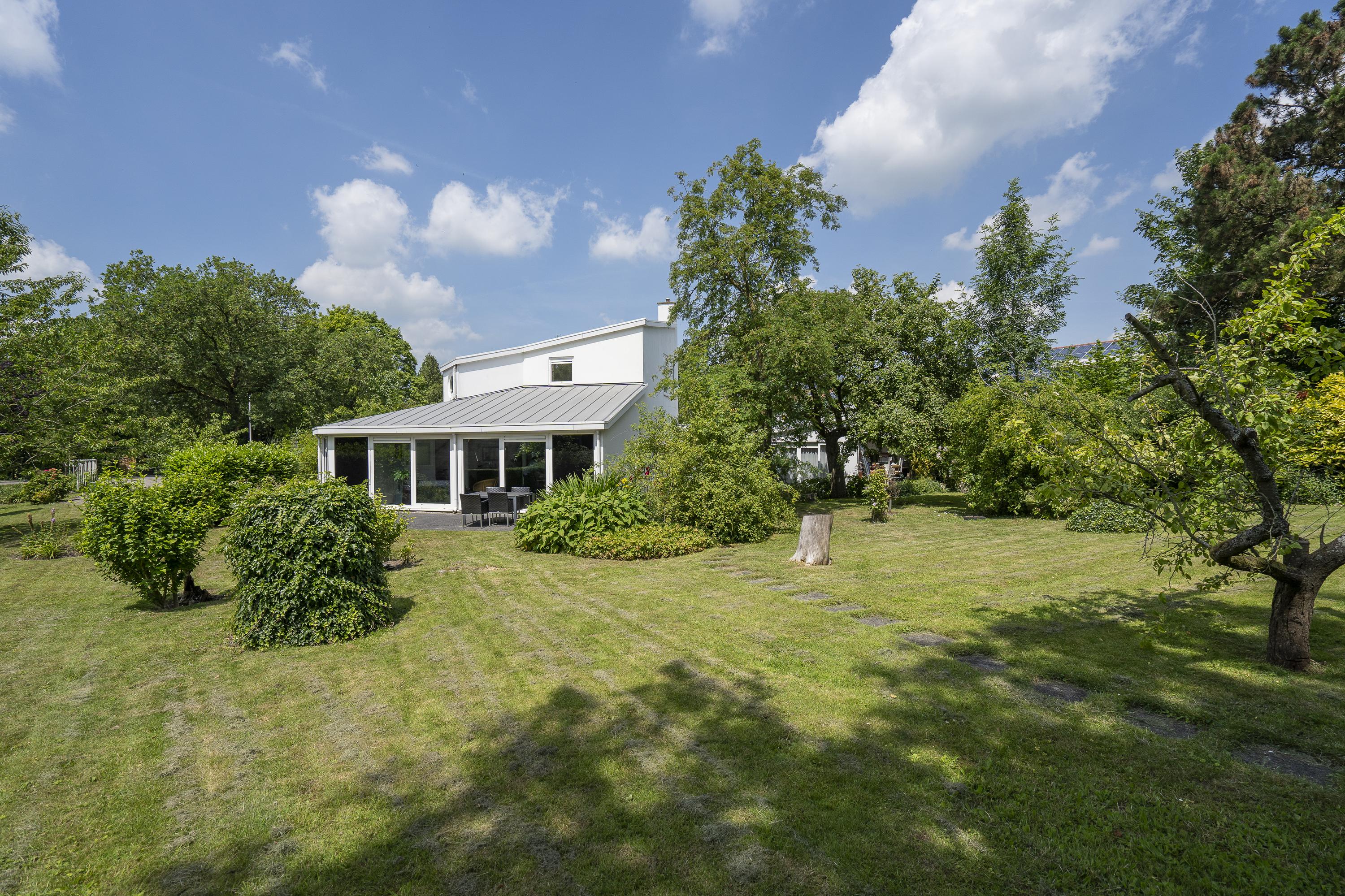 Hoefpad 1B, afbeelding 3