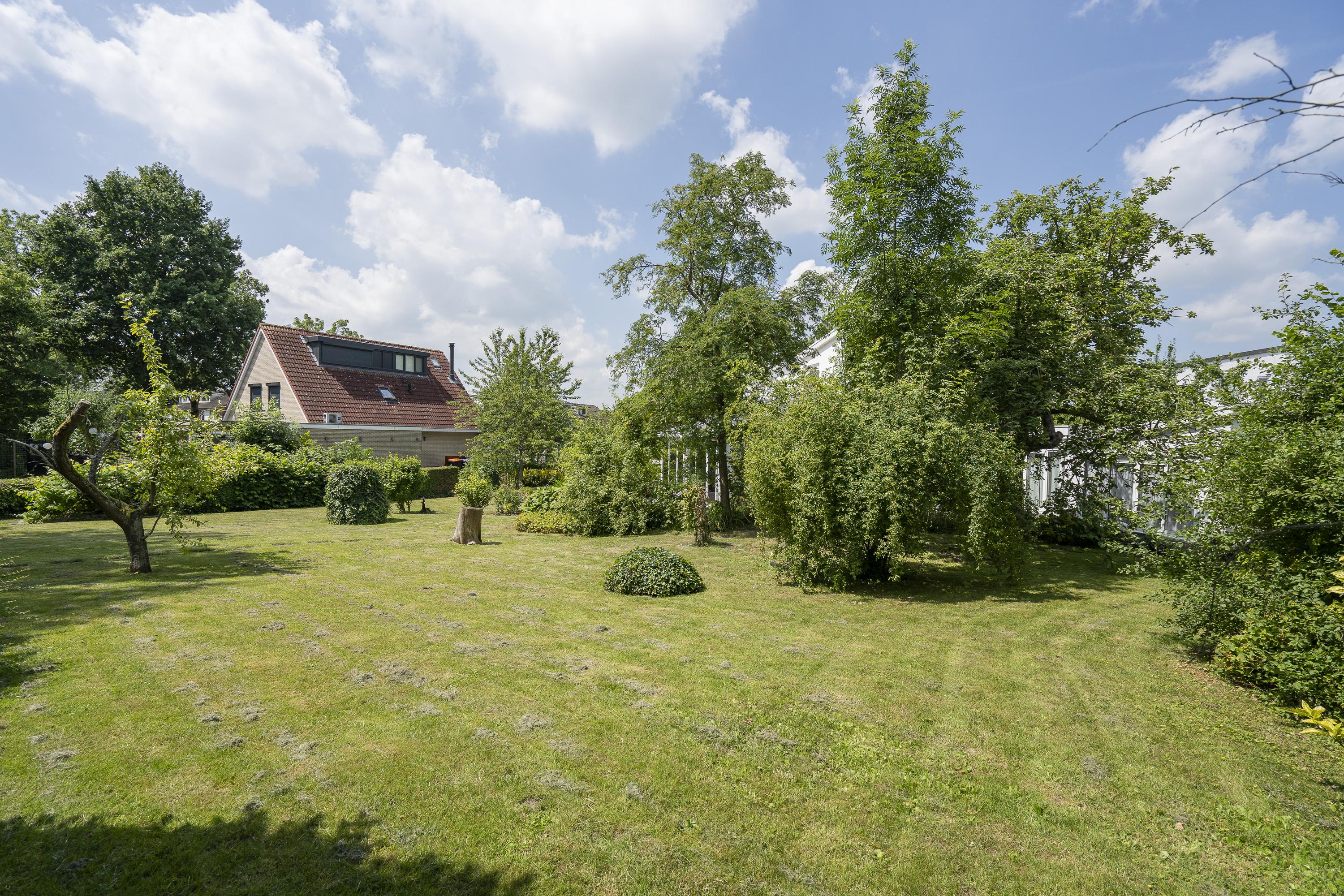 Hoefpad 1B, afbeelding 32