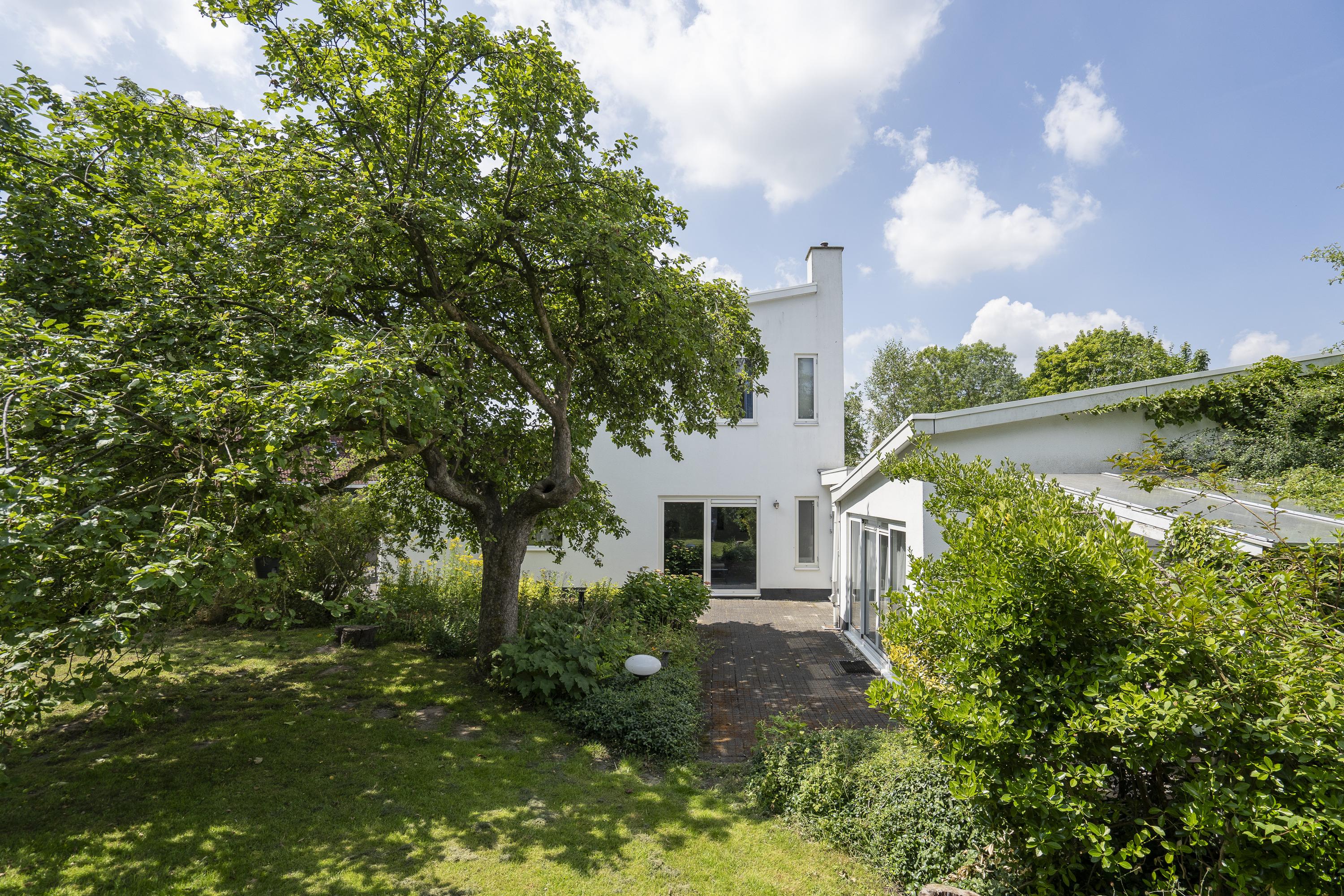 Hoefpad 1B, afbeelding 33