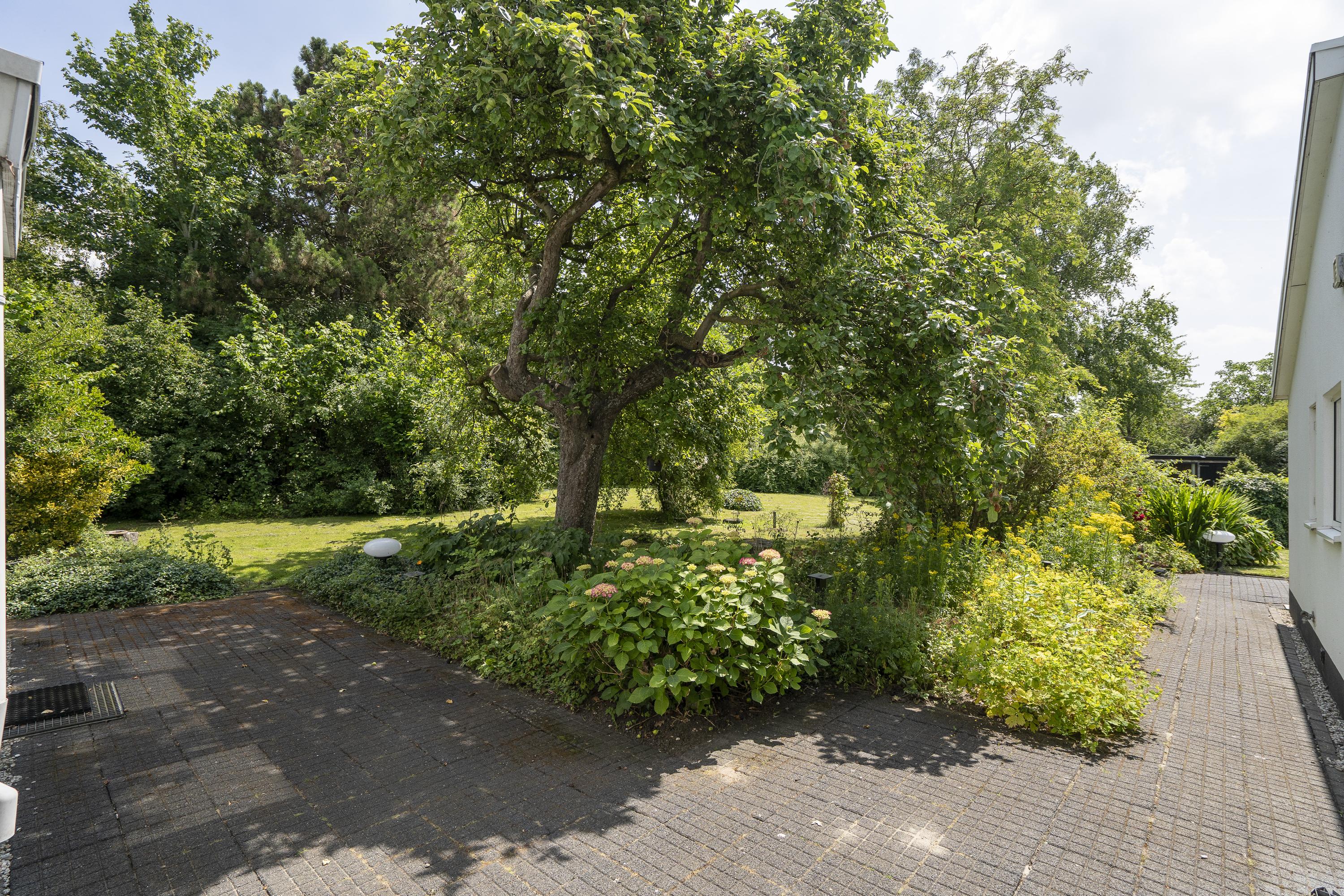 Hoefpad 1B, afbeelding 34