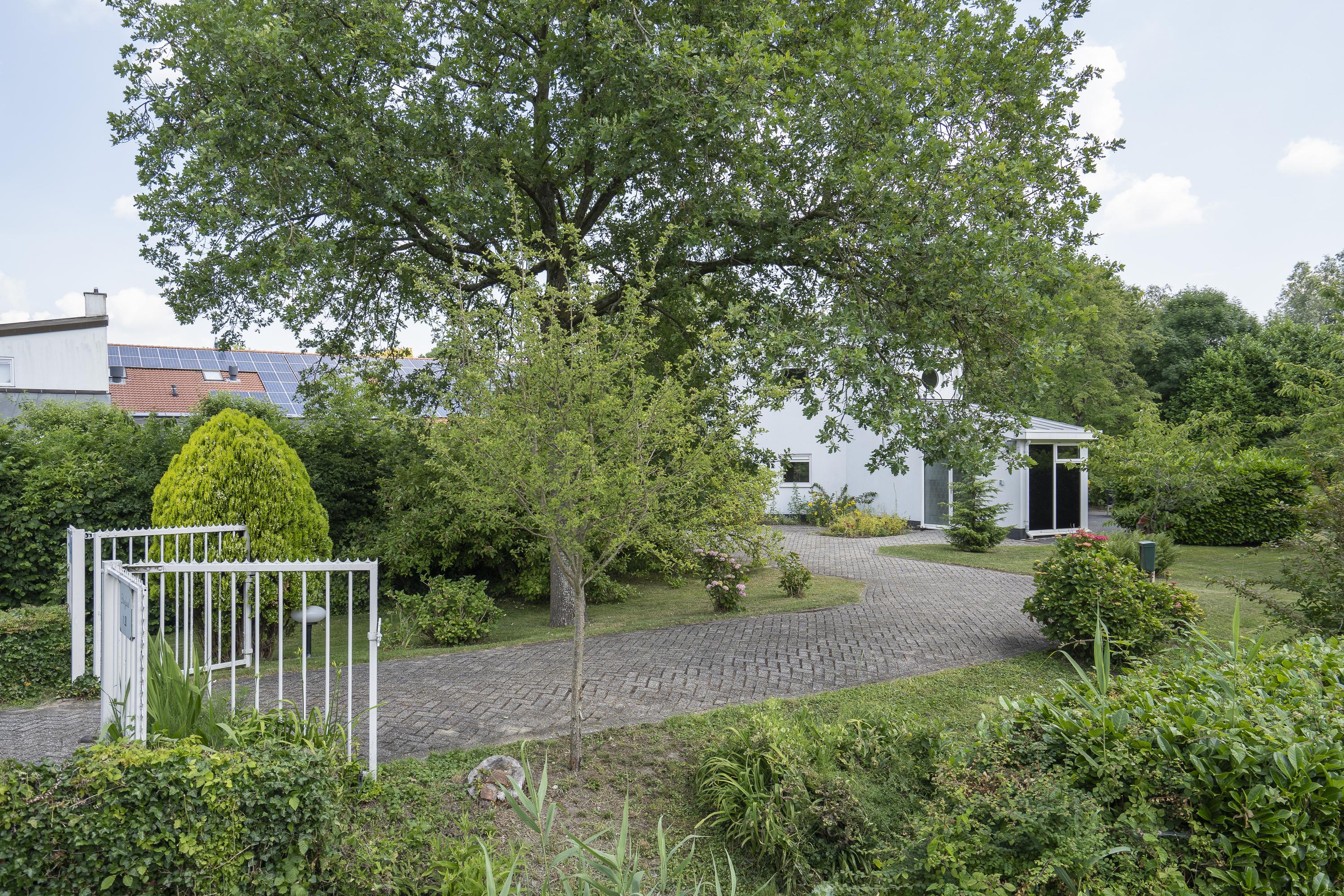 Hoefpad 1B, afbeelding 6