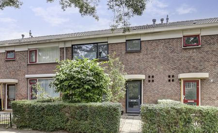 Johan van Egmondstraat 20