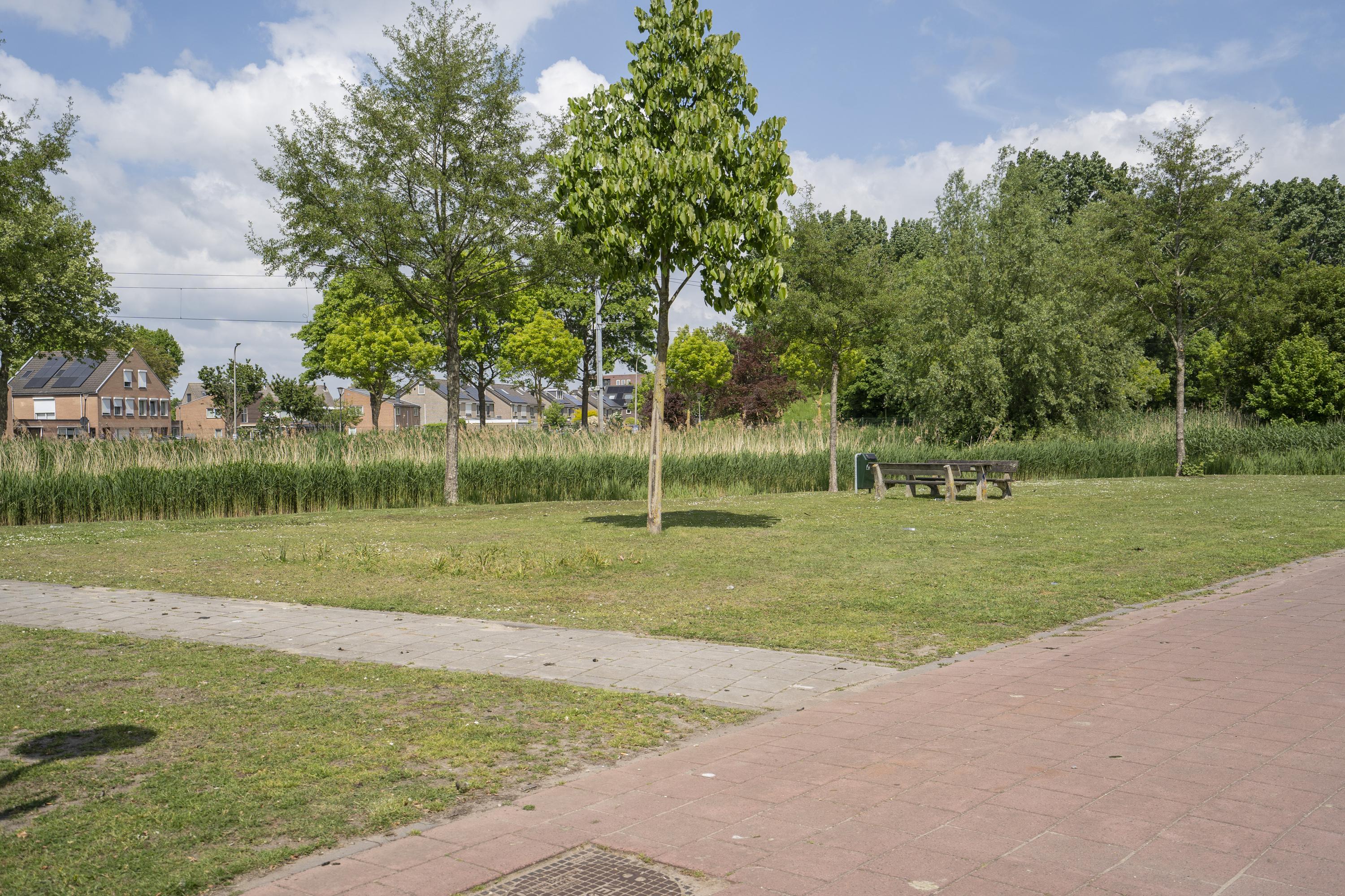 Raadsliedenstraat 1, afbeelding 5