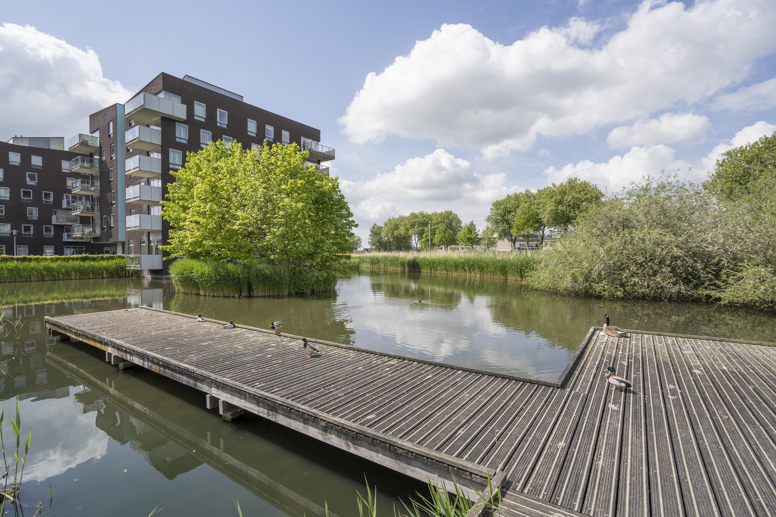 Raadsliedenstraat 1, afbeelding 38