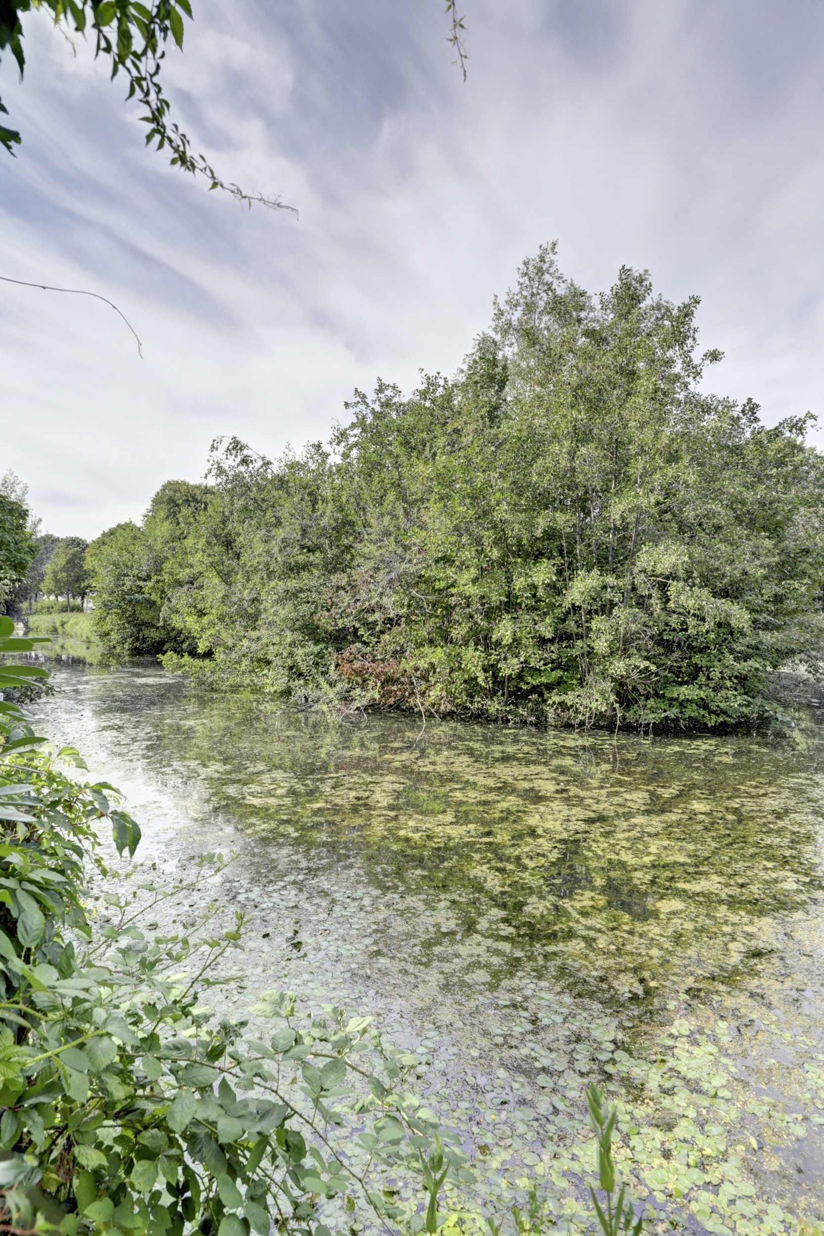 Ridderspoorhof 10, afbeelding 3