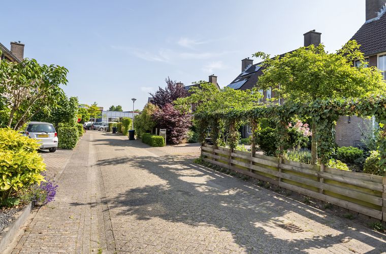 Afbeelding 43