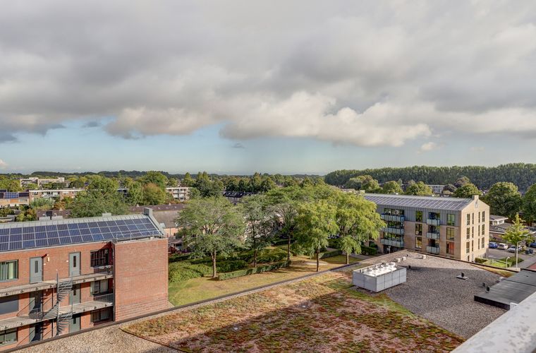 Afbeelding 31