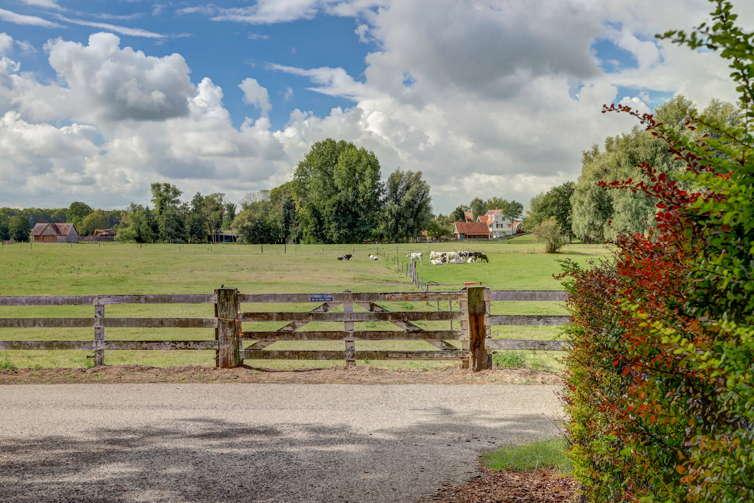 Voorhof 20, afbeelding 38