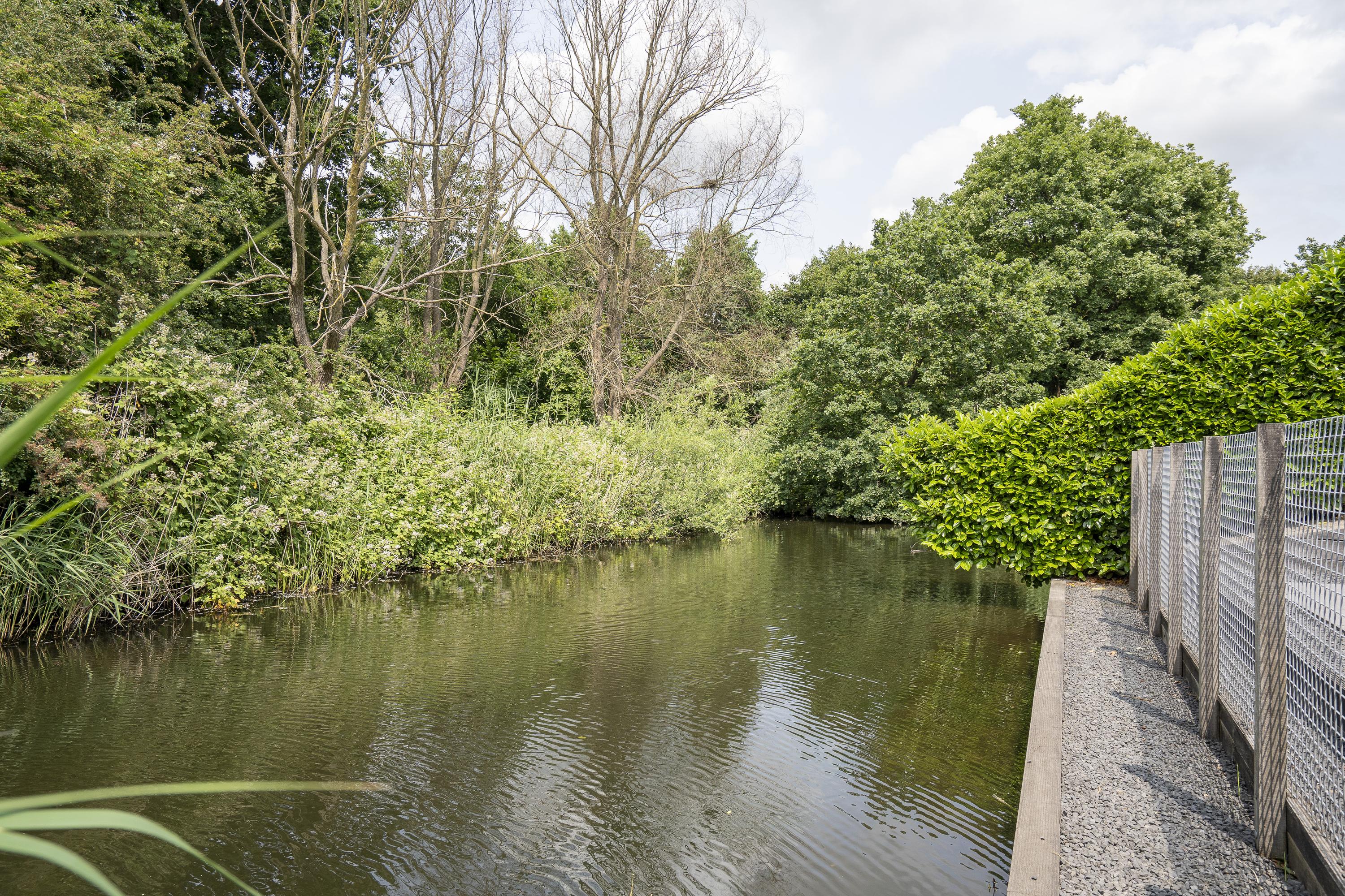 Hendrik Marsmanplein 17, afbeelding 30