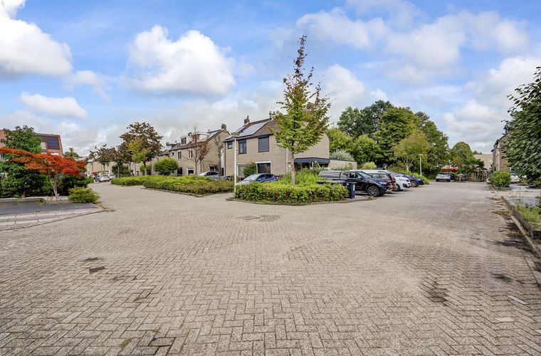 Afbeelding 46