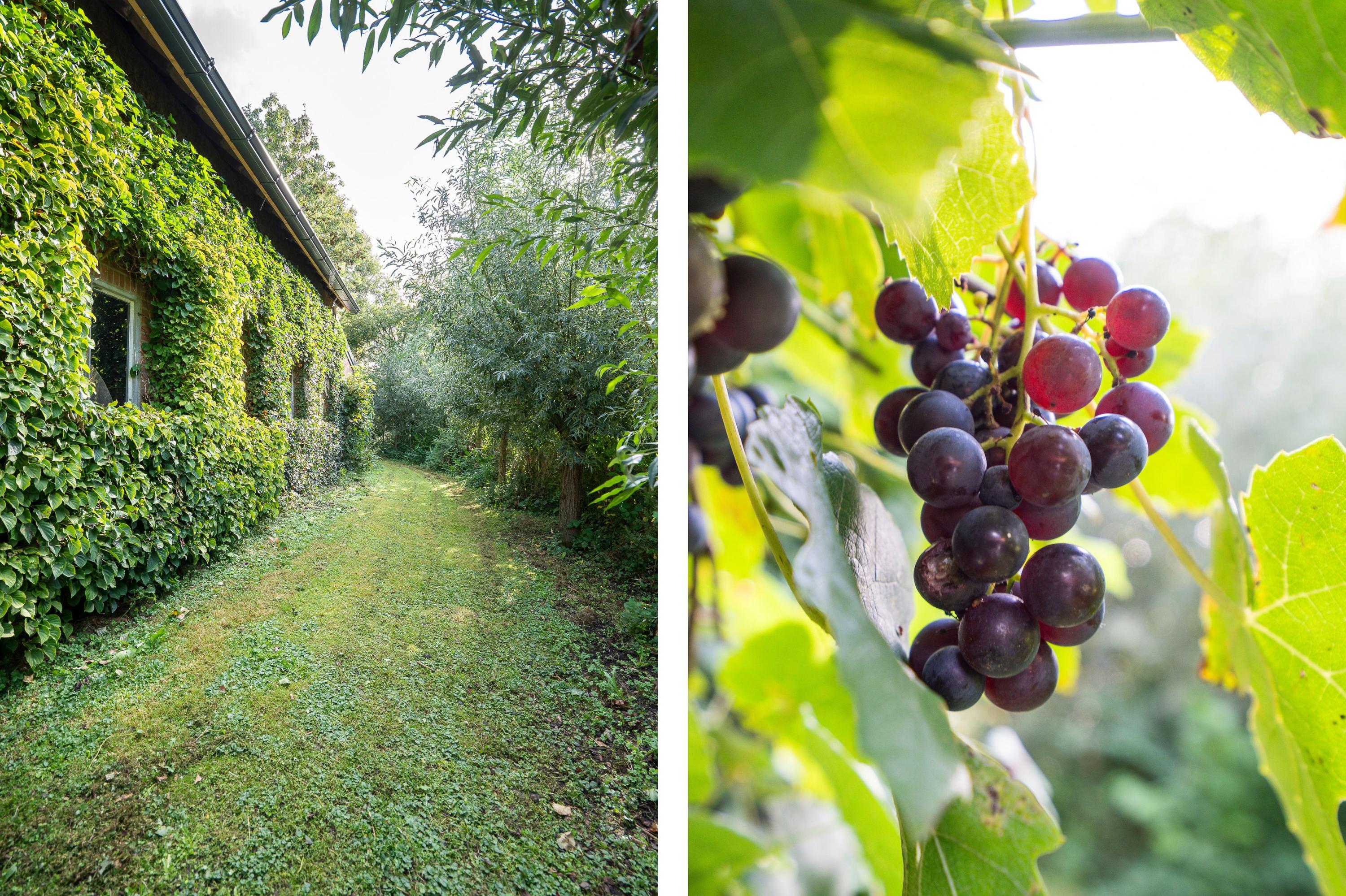 Lingedijk 8, afbeelding 82