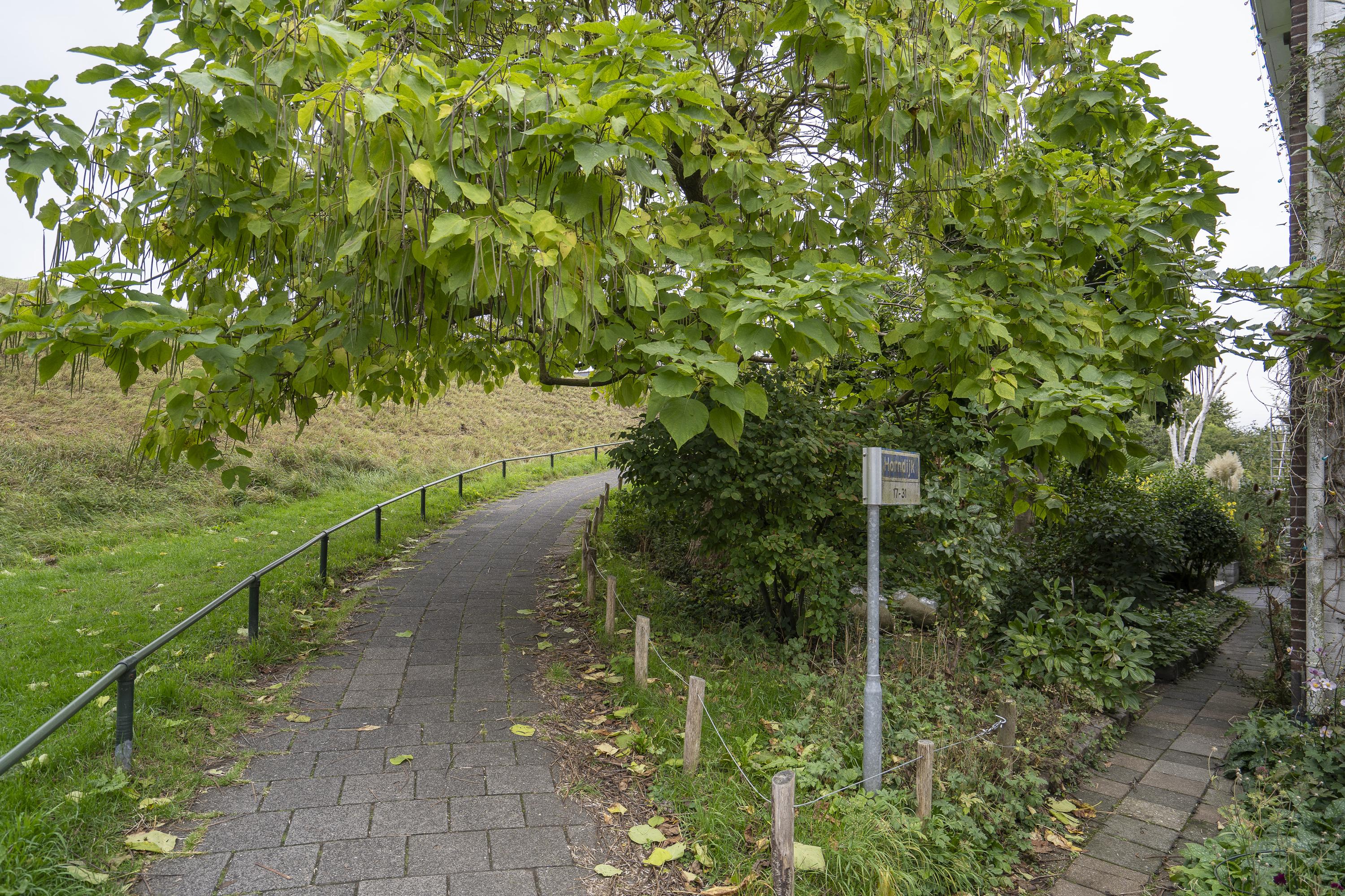 Horndijk 27, afbeelding 34