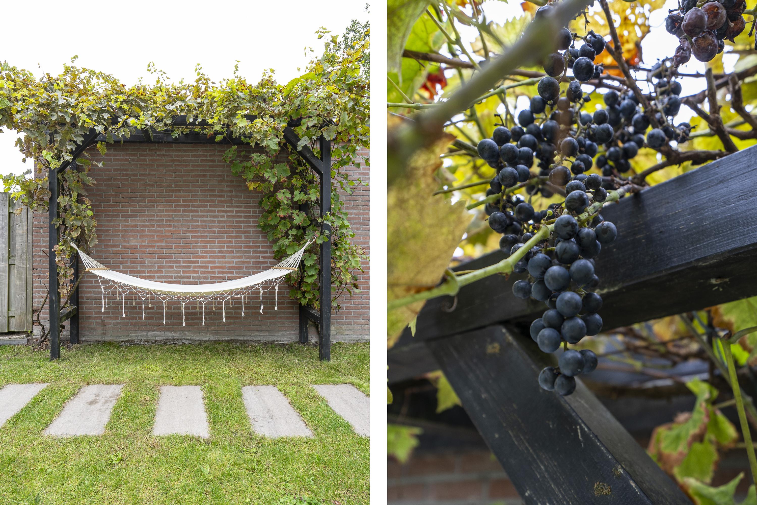 Horndijk 27, afbeelding 4