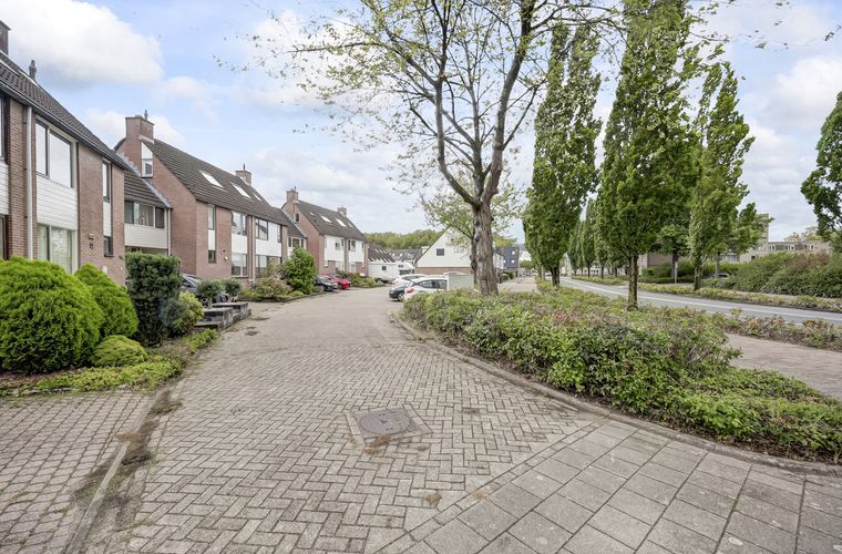 Afbeelding 46
