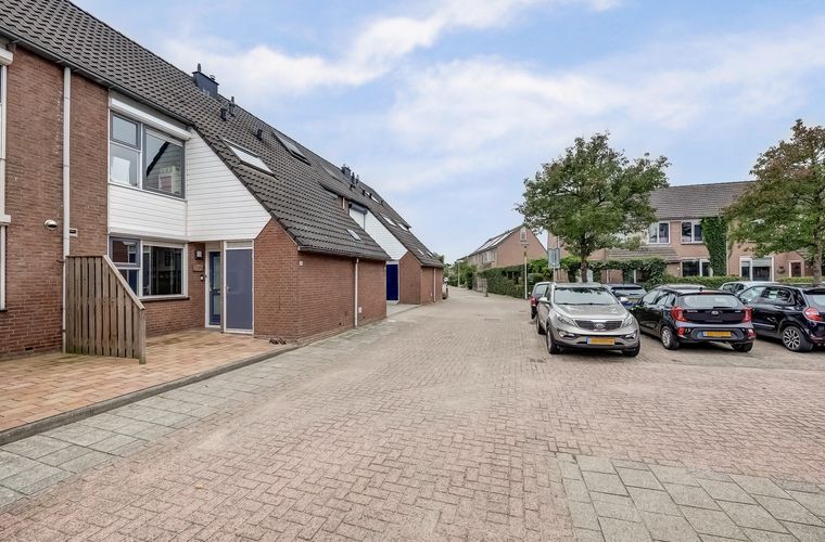 Afbeelding 41