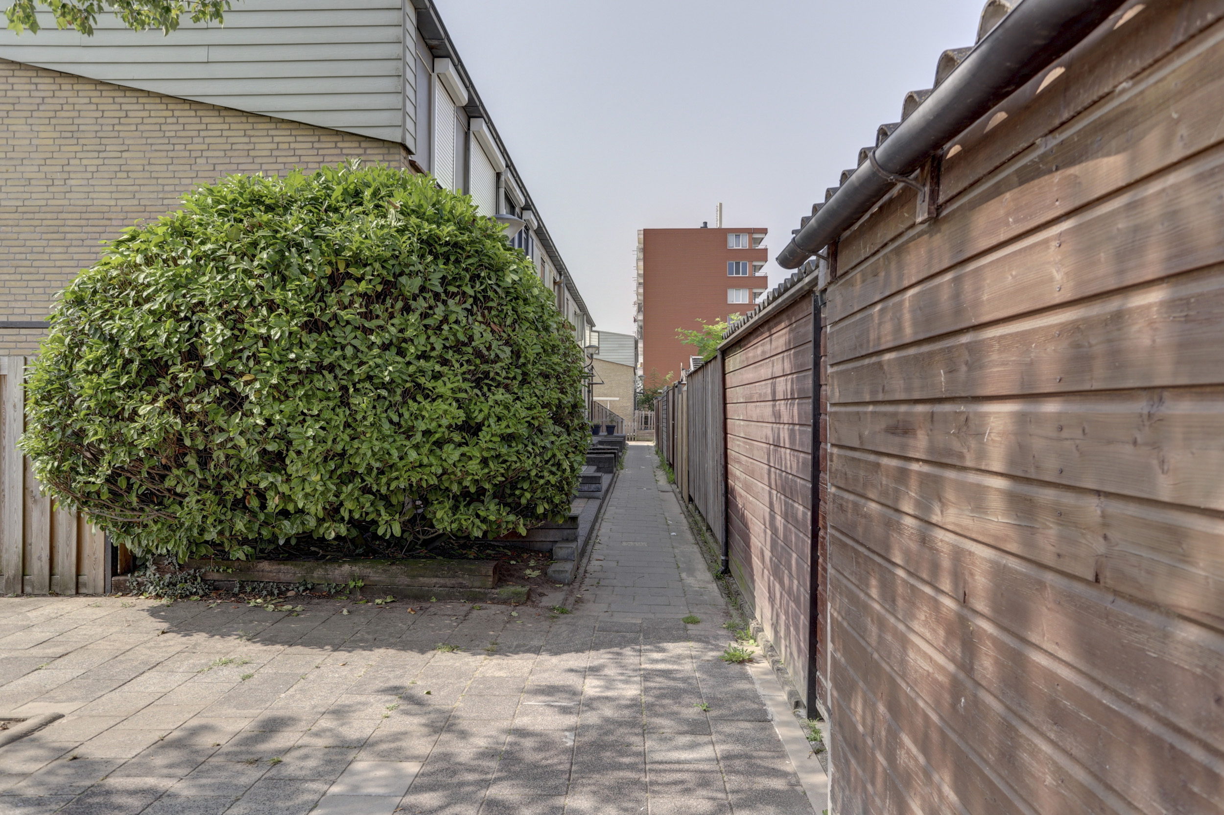 Spartaveld 32, afbeelding 39