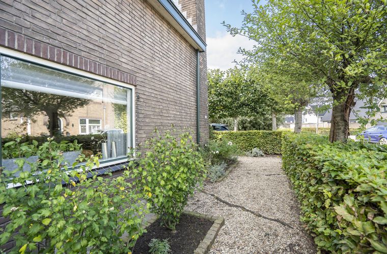 Afbeelding 40