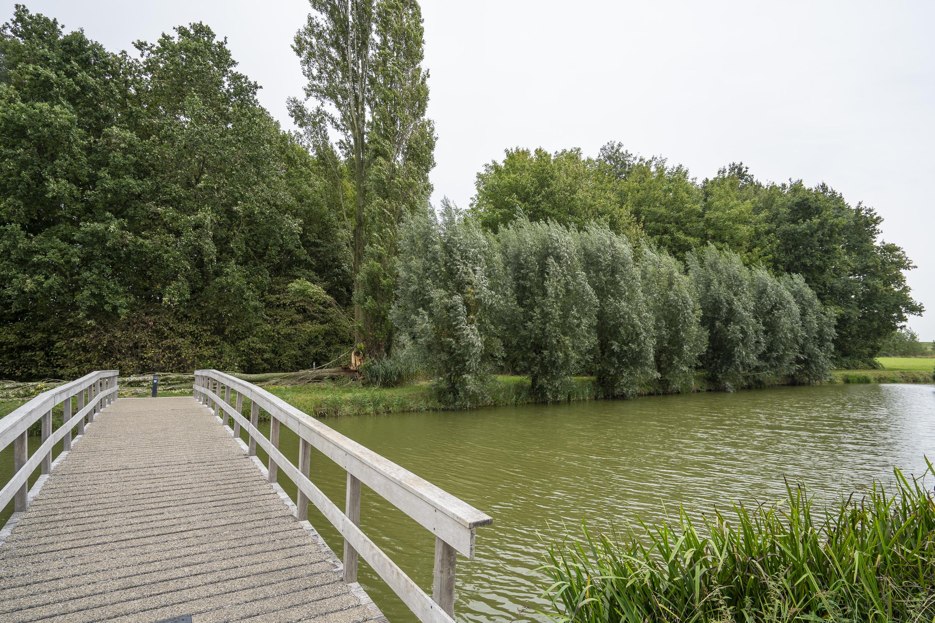 Meerenburg 16, afbeelding 5