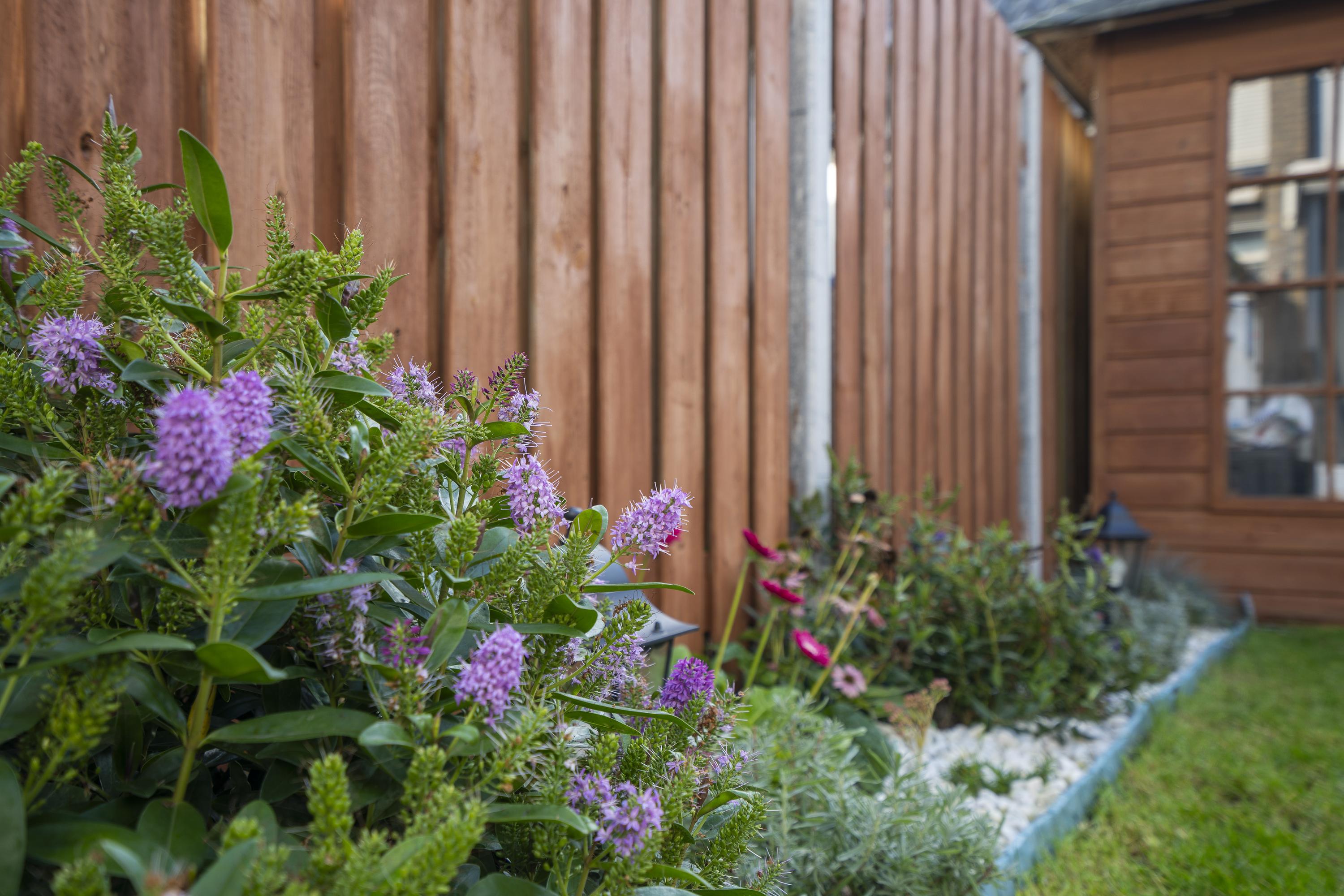 Sperwerlaan 90, afbeelding 56