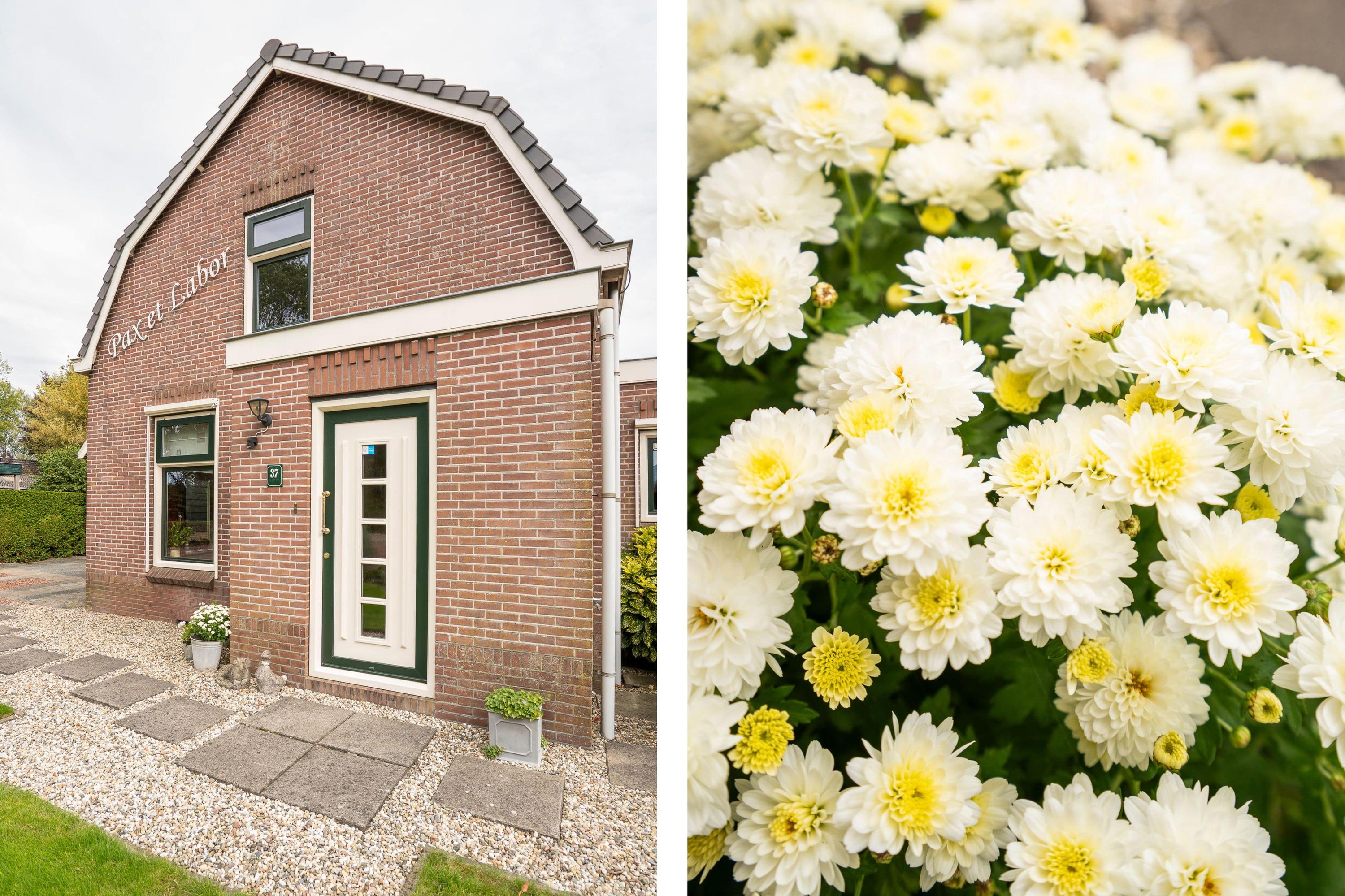 Onderweg 37, afbeelding 8