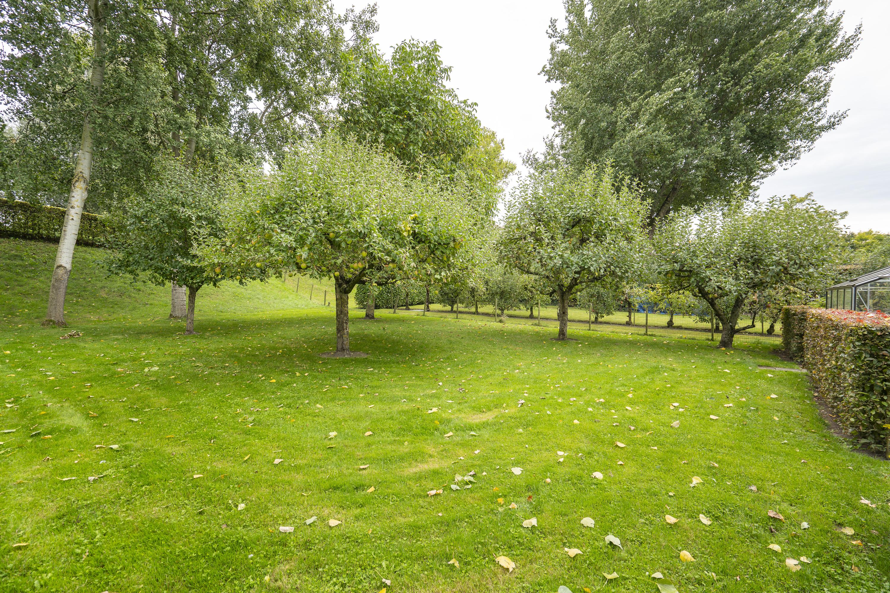 Onderweg 37, afbeelding 7