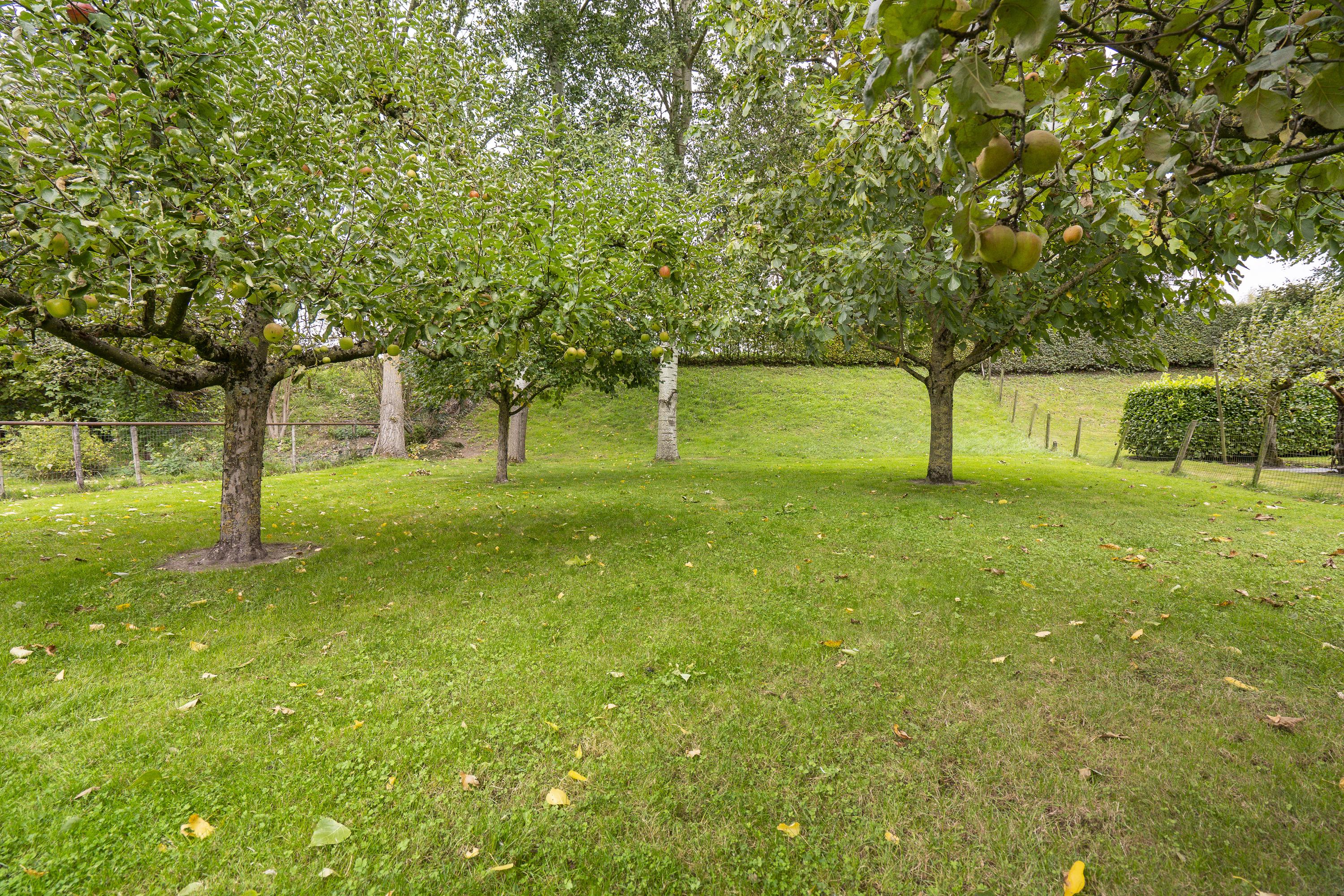 Onderweg 37, afbeelding 58