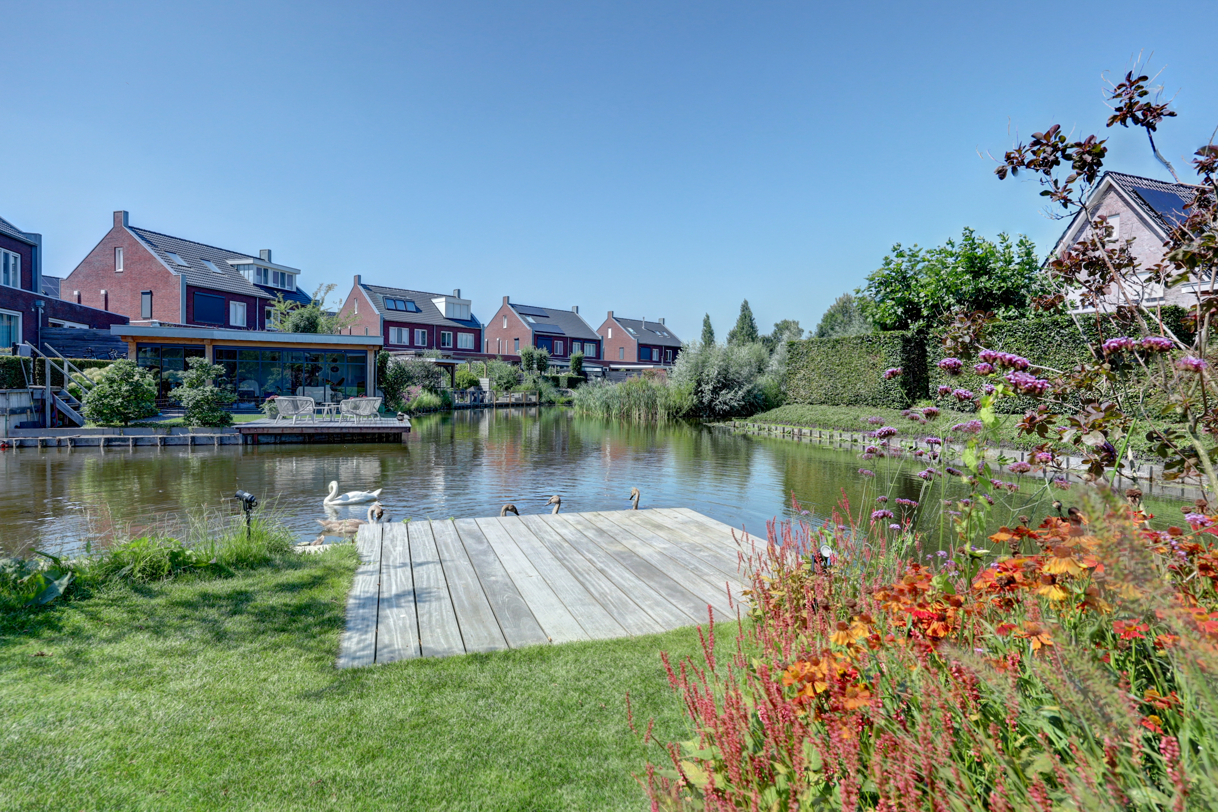 Majoor 56, afbeelding 43