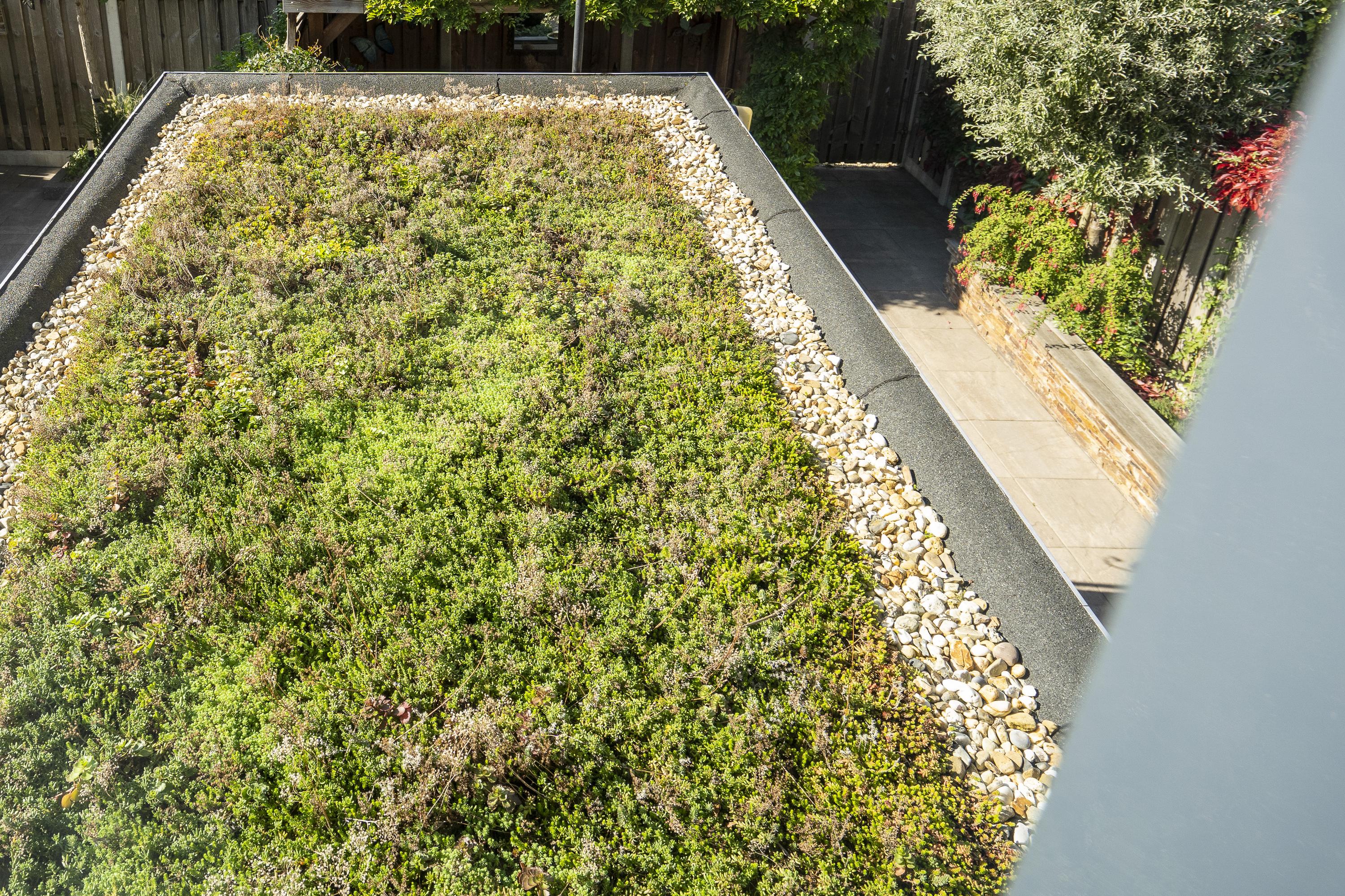 Walmolen 52, afbeelding 16