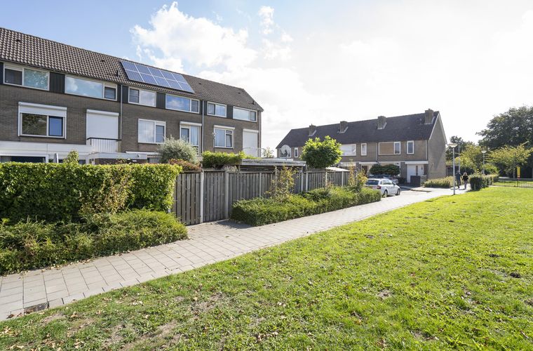 Afbeelding 42