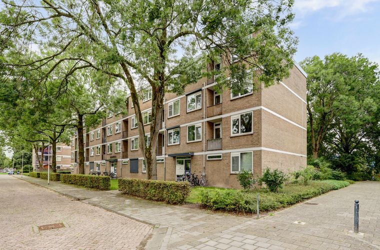 Afbeelding 29