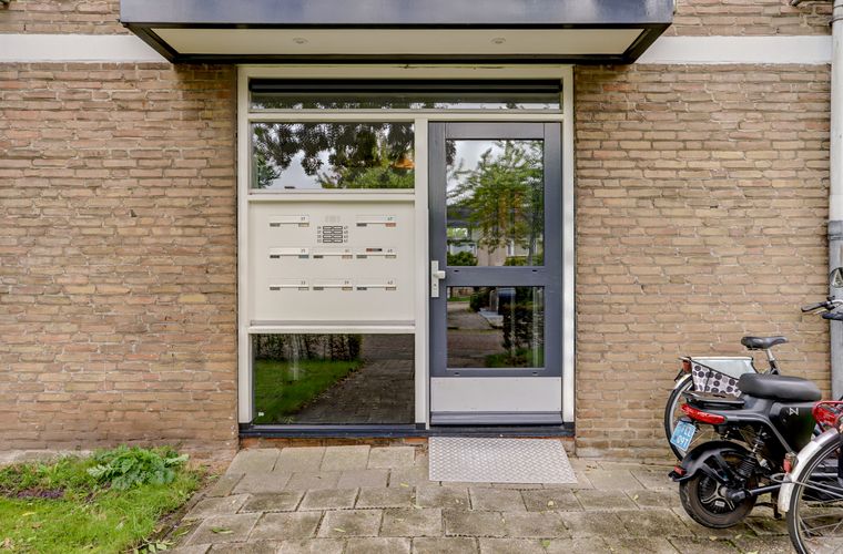 Afbeelding 24
