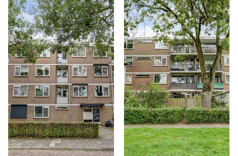 Afbeelding 23
