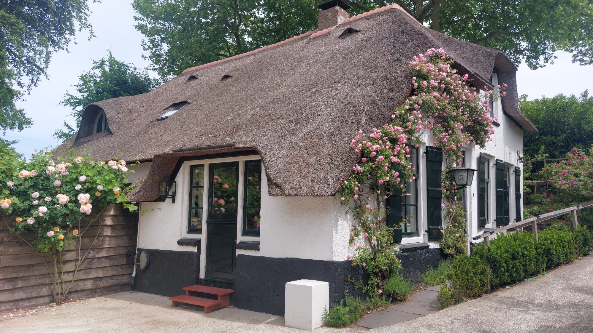 Kerkeind 12, afbeelding 7