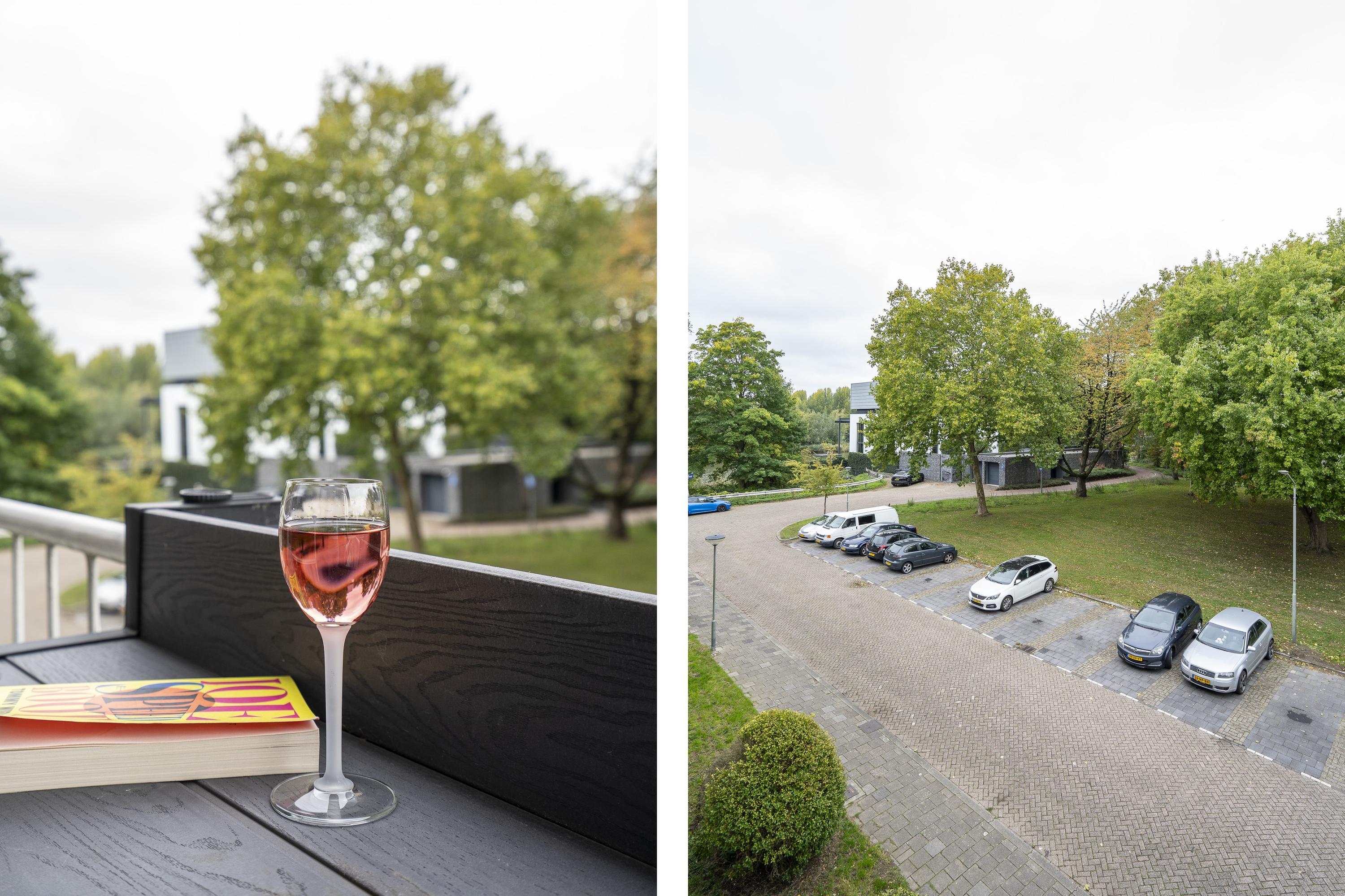 Generaal S.H. Spoorstraat 219, afbeelding 2