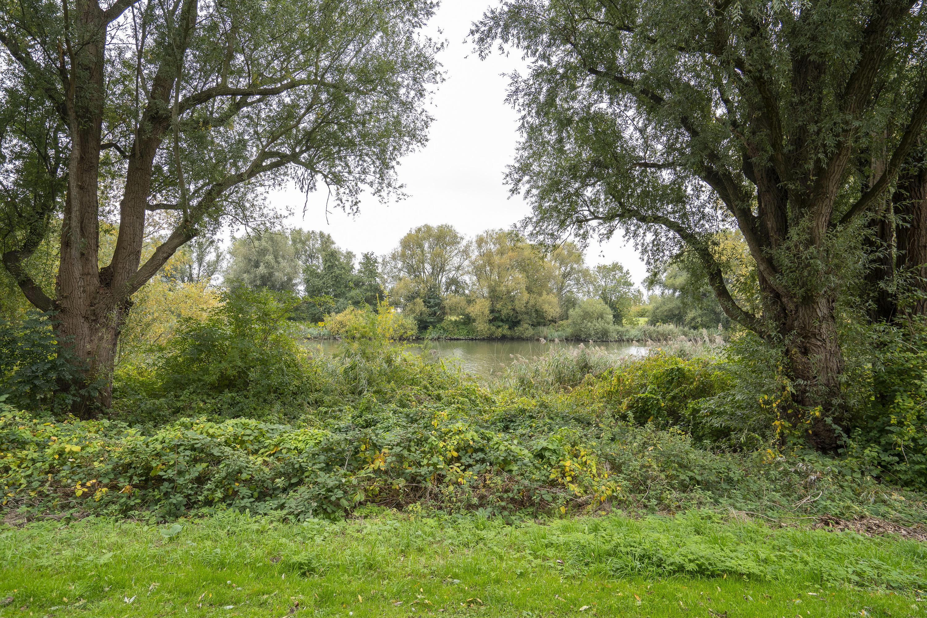 Generaal S.H. Spoorstraat 219, afbeelding 3