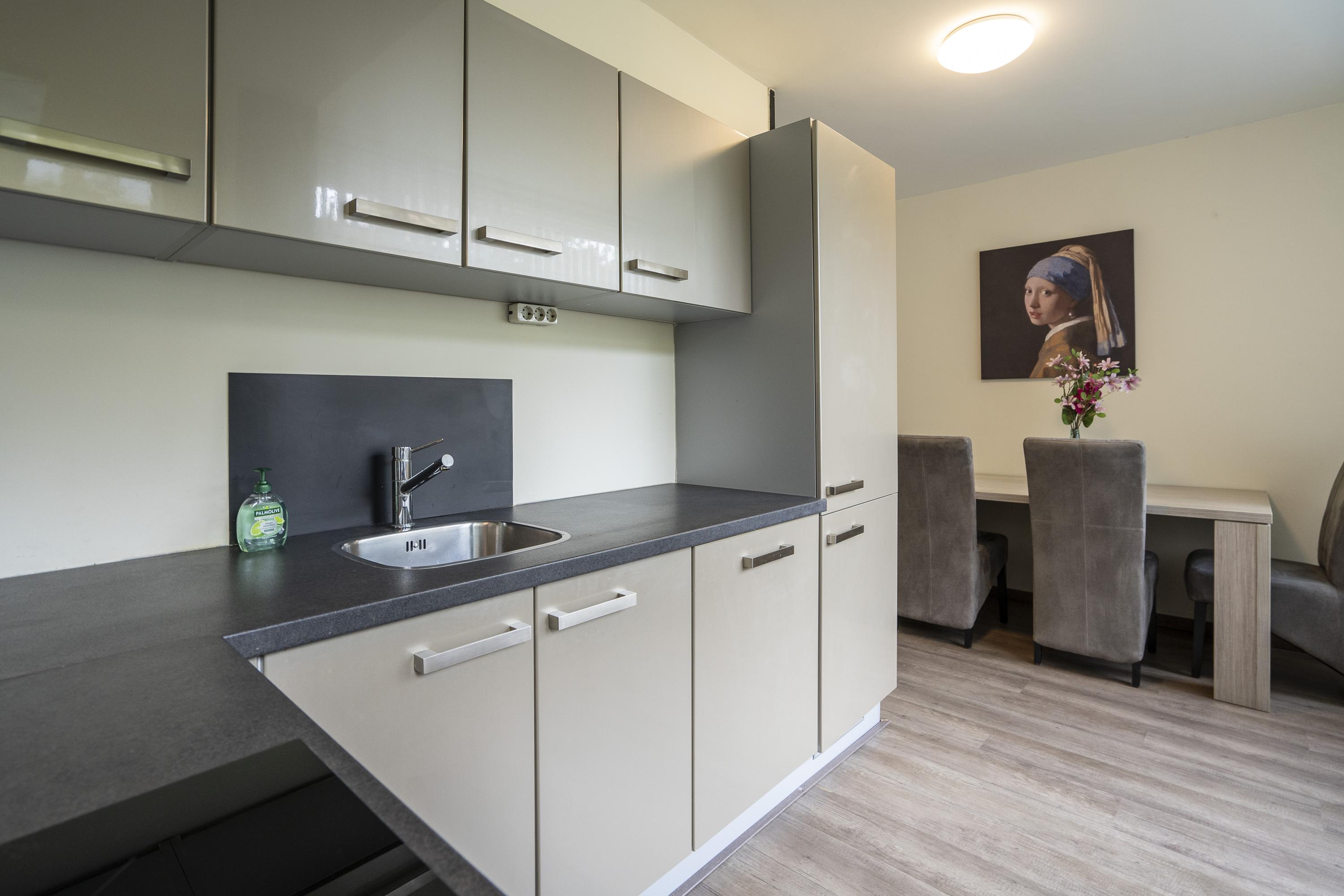 Generaal S.H. Spoorstraat 219, afbeelding 12