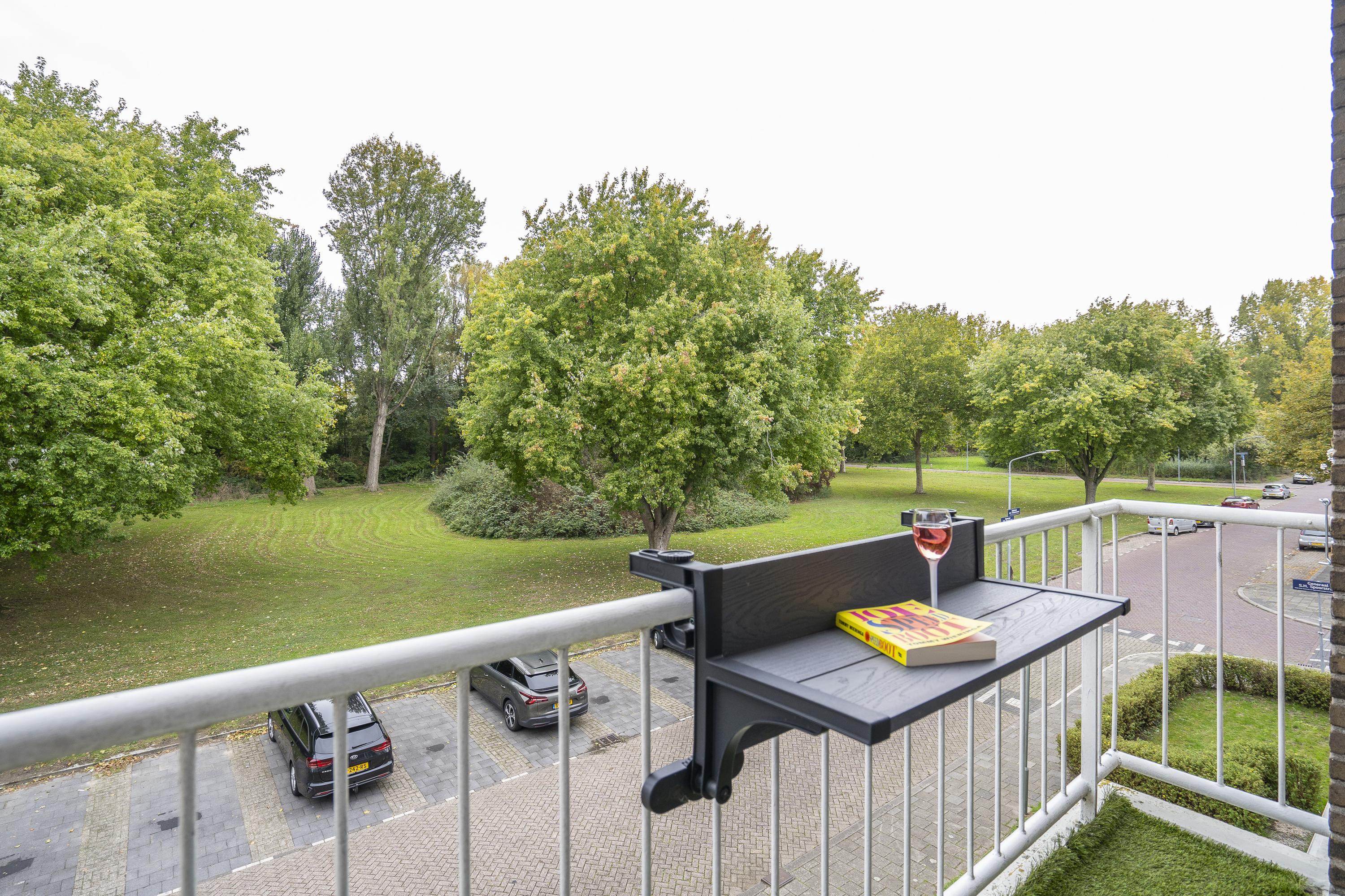 Generaal S.H. Spoorstraat 219, afbeelding 14