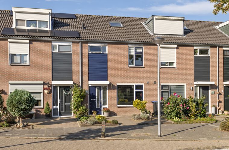 Afbeelding 41