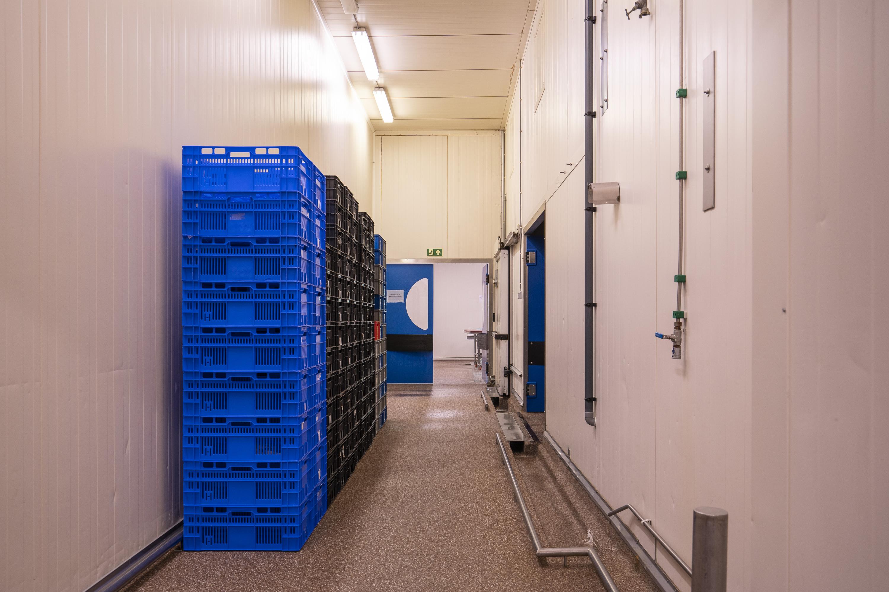 Industrieweg 31-33, afbeelding 11