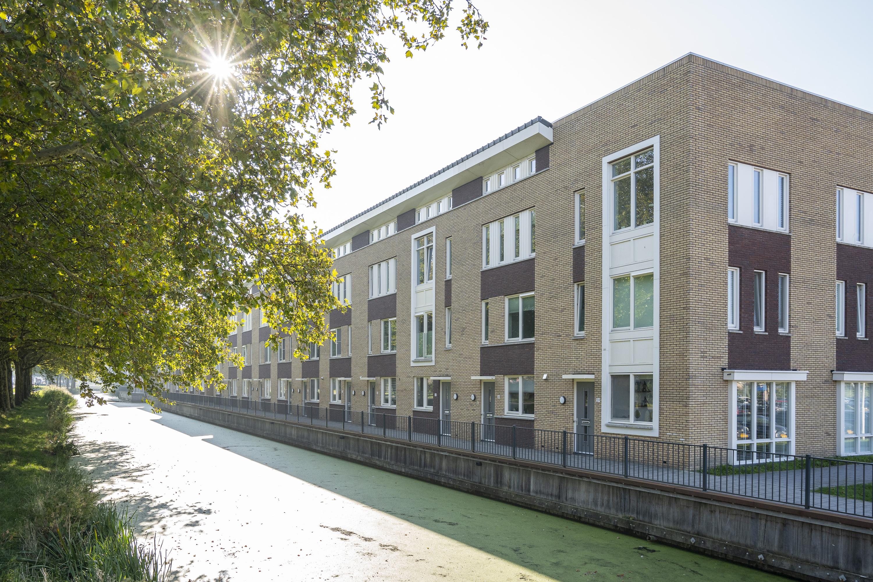 De Hooght 61, afbeelding 5