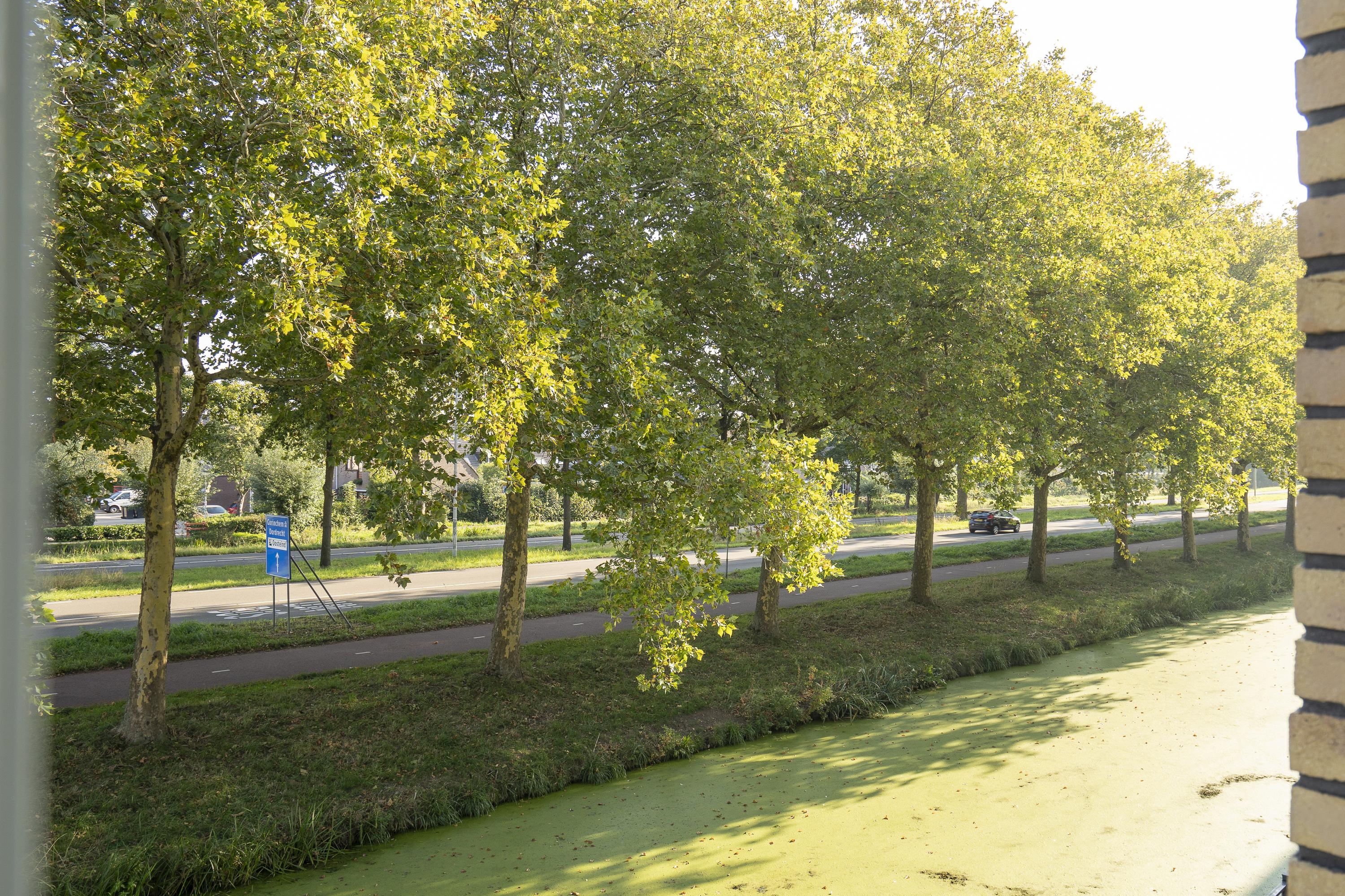 De Hooght 61, afbeelding 15