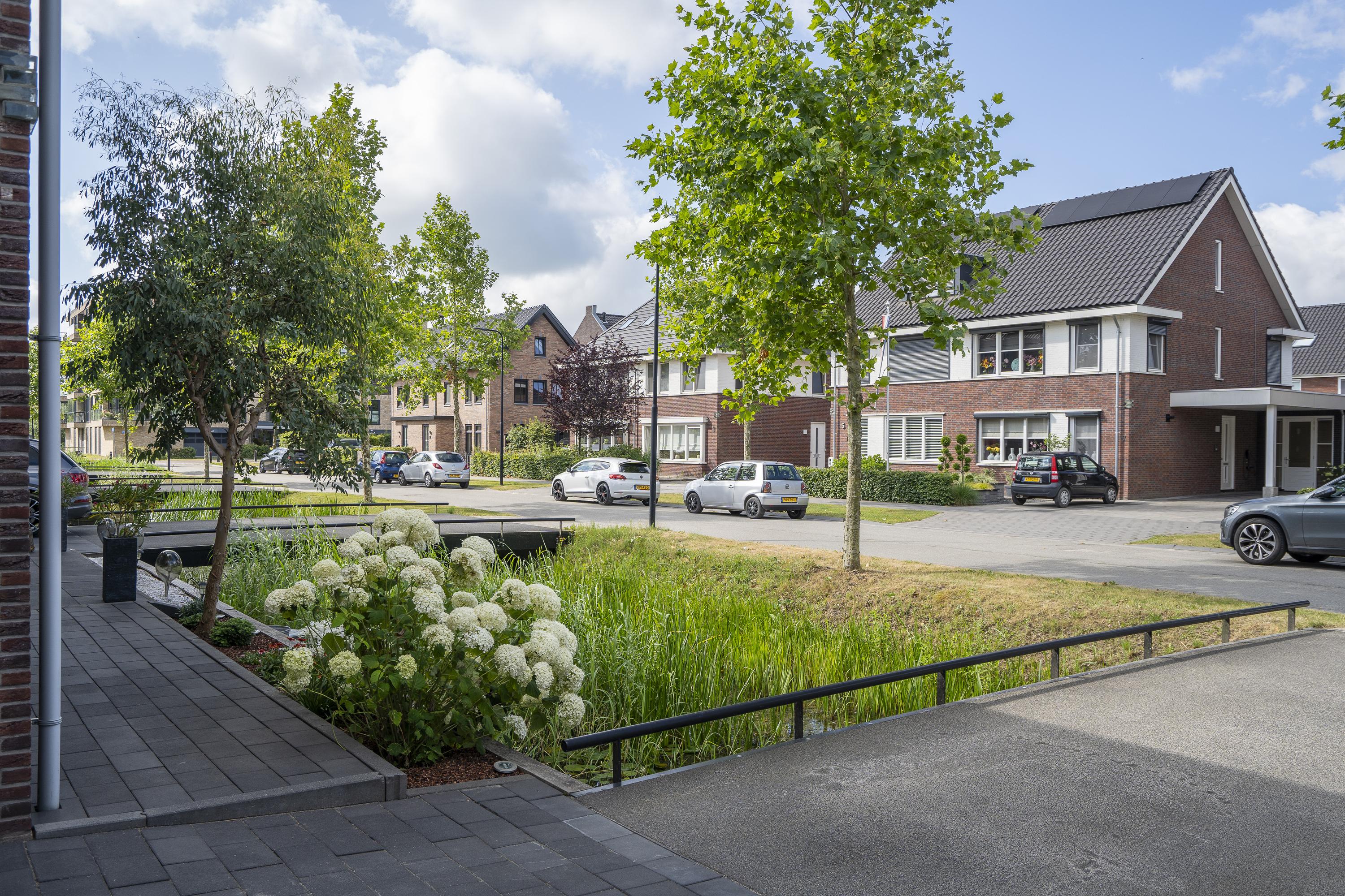 Spiegellaan 12, afbeelding 6